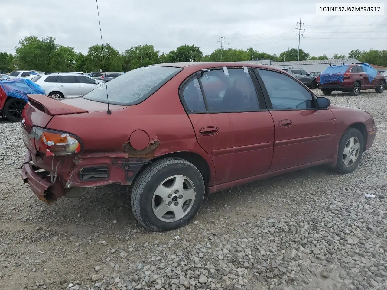 2002 Chevrolet Malibu Ls VIN: 1G1NE52J62M598917 Lot: 55251145