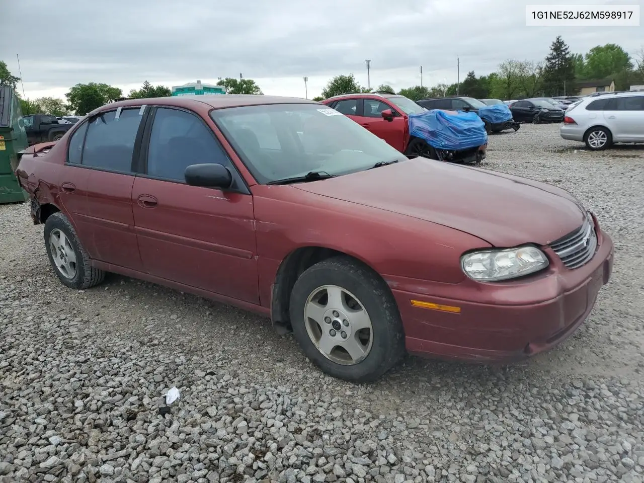 2002 Chevrolet Malibu Ls VIN: 1G1NE52J62M598917 Lot: 55251145