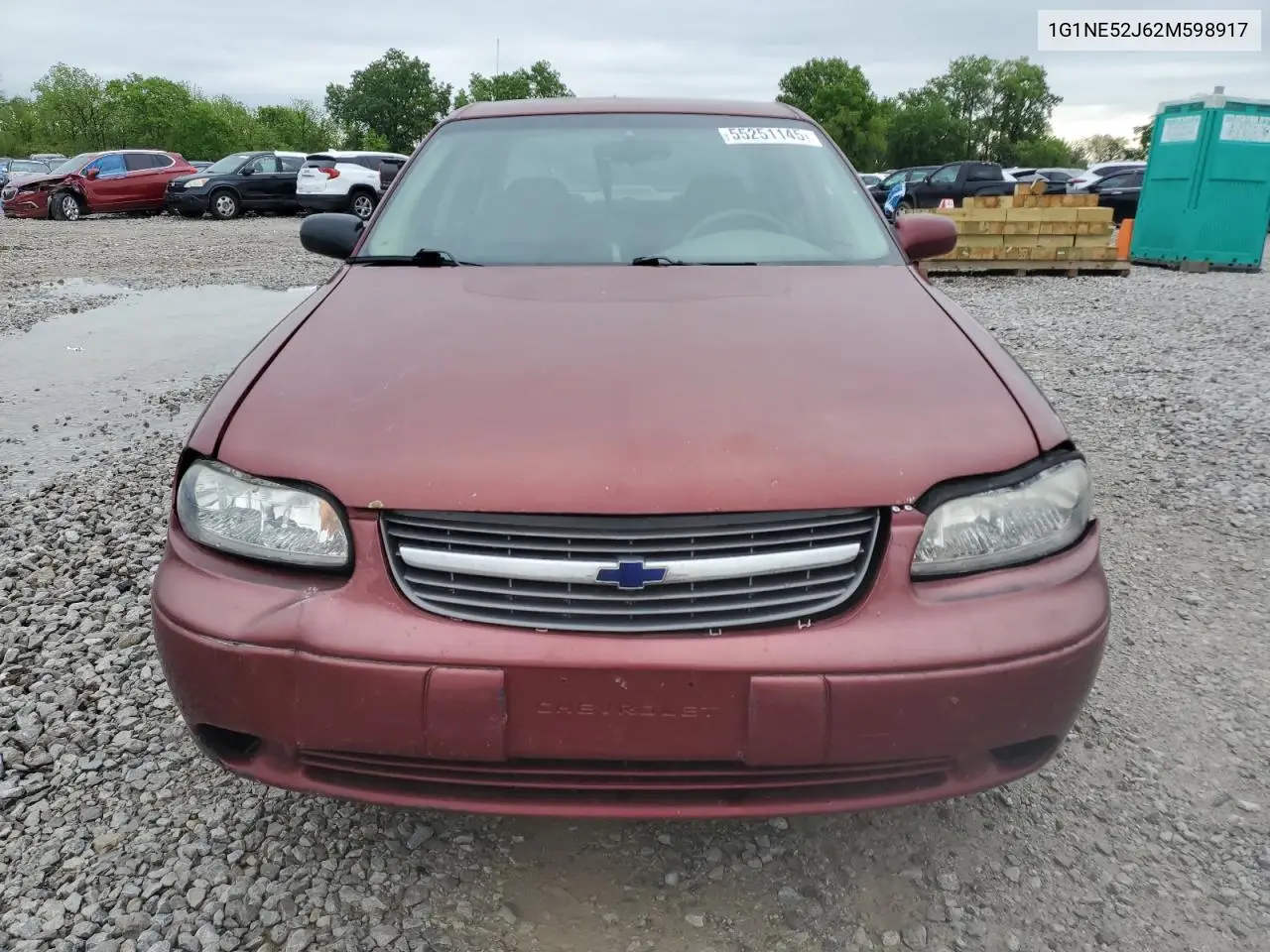 2002 Chevrolet Malibu Ls VIN: 1G1NE52J62M598917 Lot: 55251145