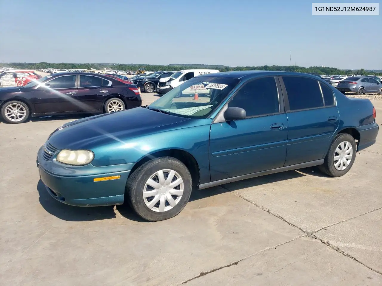 2002 Chevrolet Malibu VIN: 1G1ND52J12M624987 Lot: 58358925
