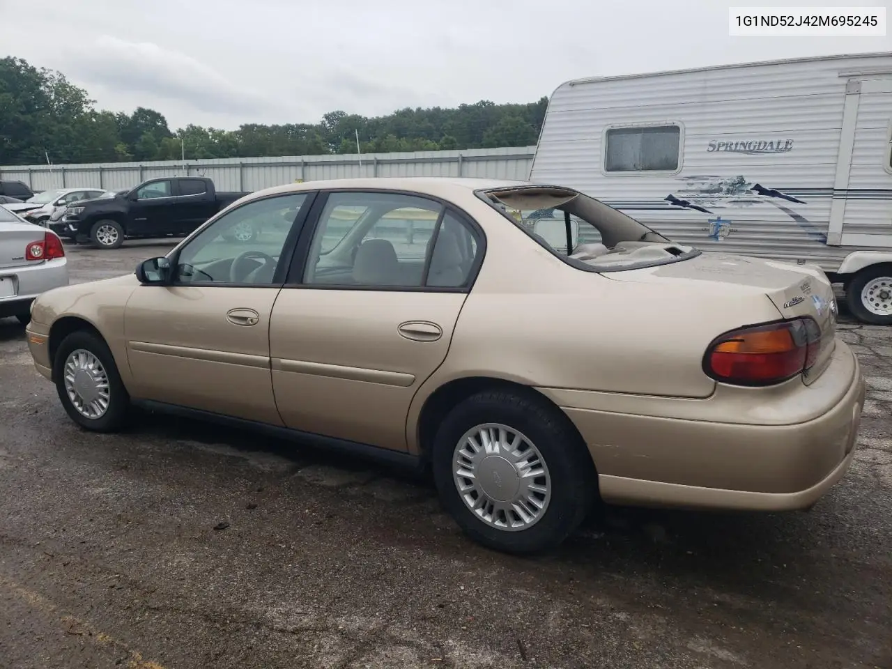 2002 Chevrolet Malibu VIN: 1G1ND52J42M695245 Lot: 59803245