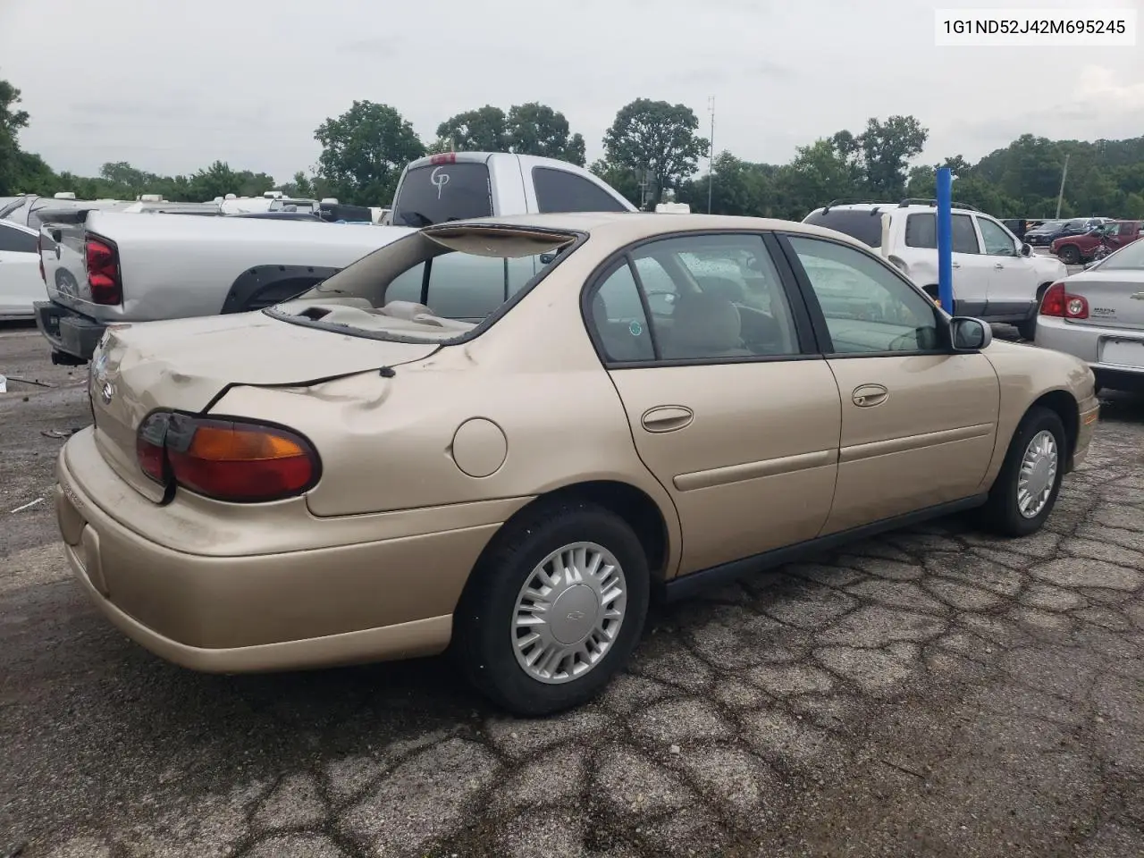 2002 Chevrolet Malibu VIN: 1G1ND52J42M695245 Lot: 59803245