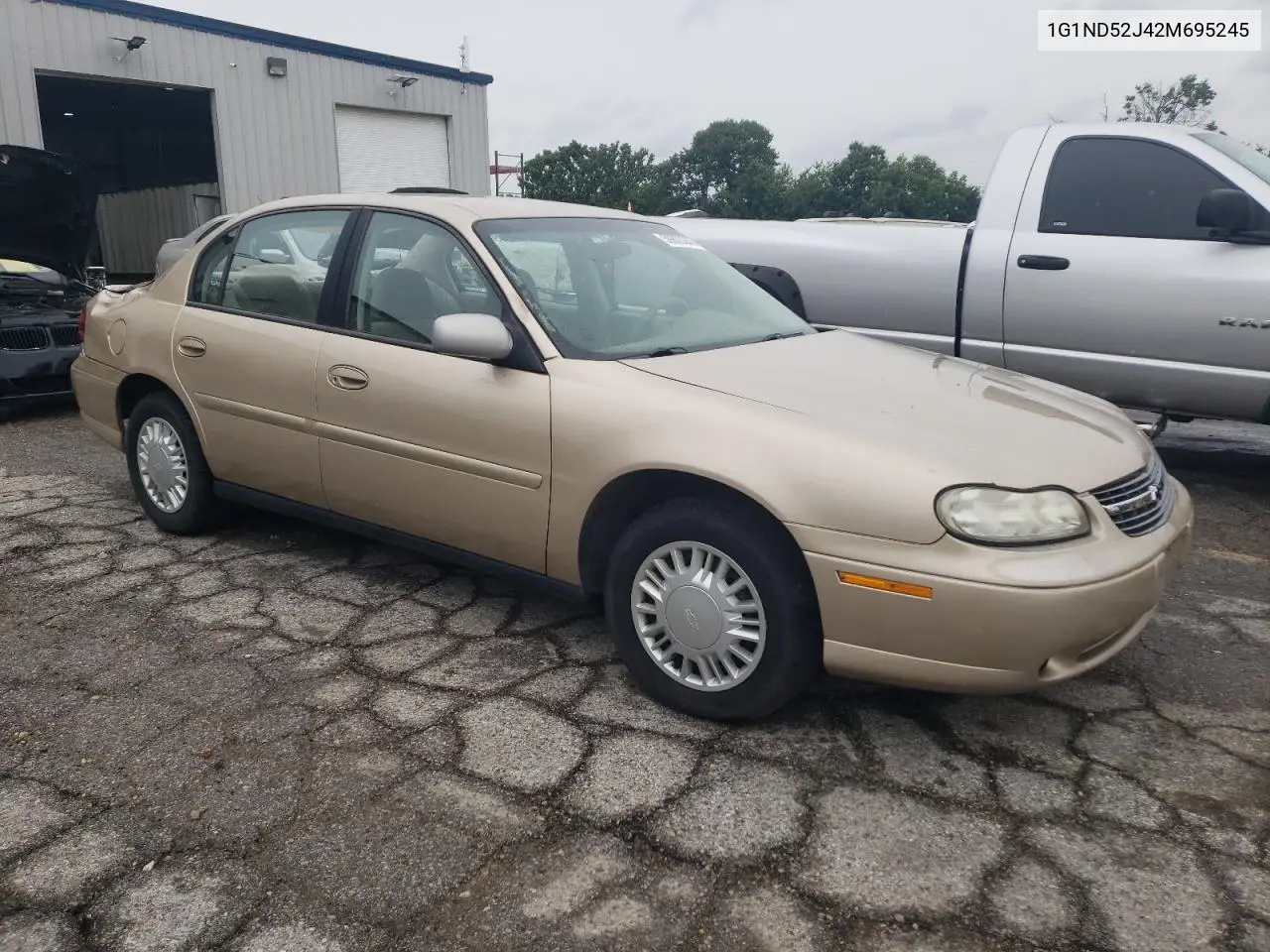 2002 Chevrolet Malibu VIN: 1G1ND52J42M695245 Lot: 59803245