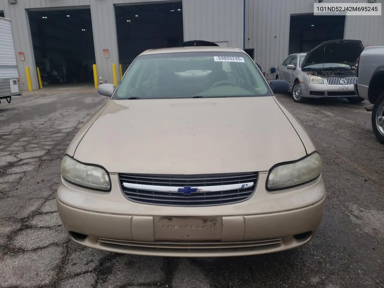 2002 Chevrolet Malibu VIN: 1G1ND52J42M695245 Lot: 59803245