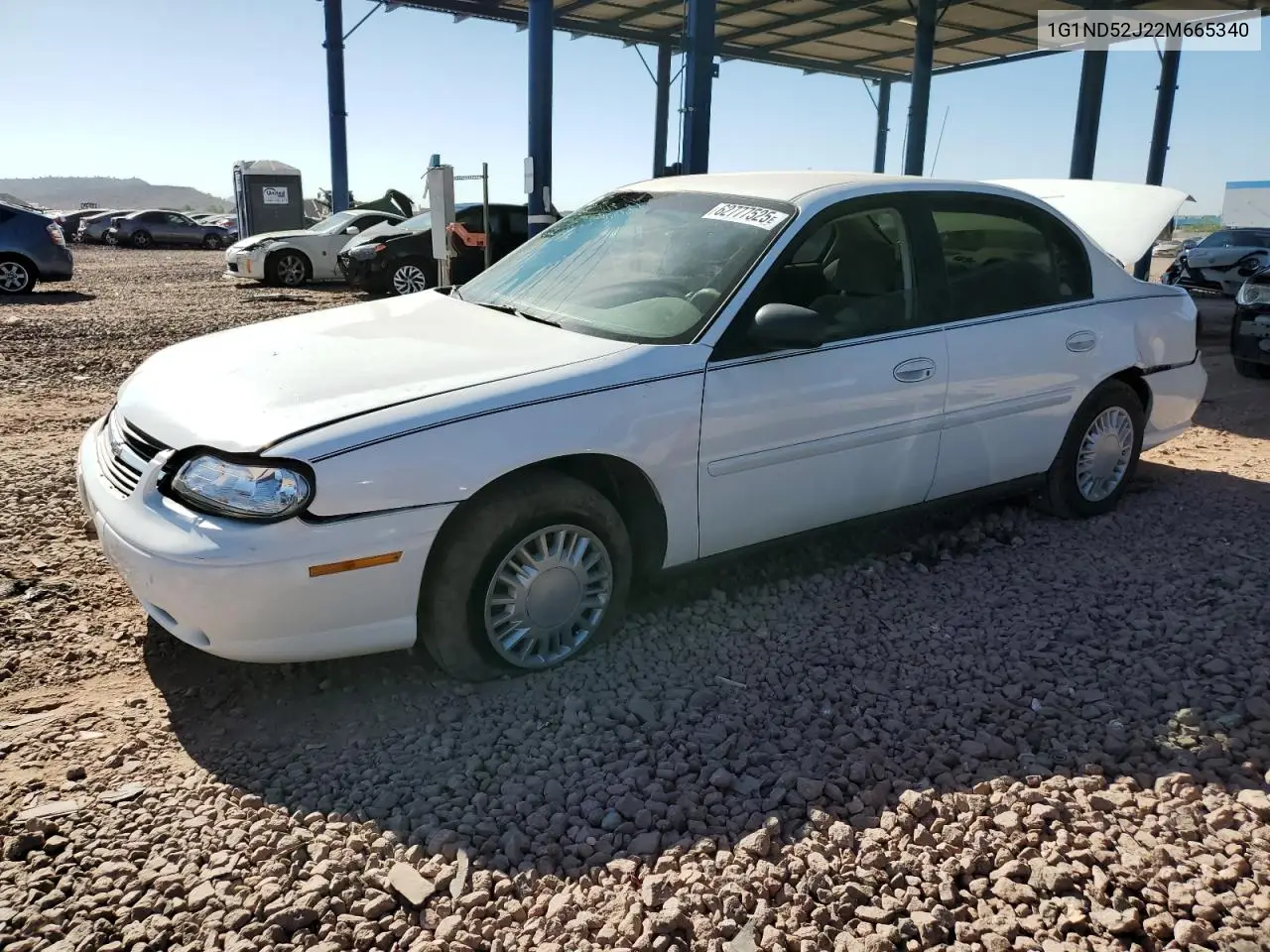 2002 Chevrolet Malibu VIN: 1G1ND52J22M665340 Lot: 62777525
