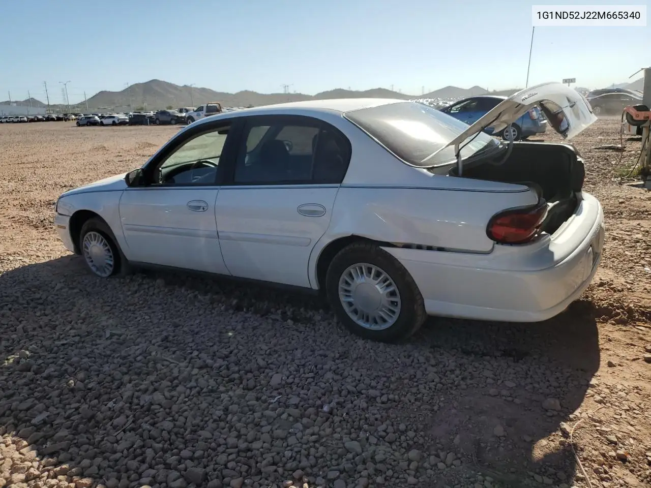2002 Chevrolet Malibu VIN: 1G1ND52J22M665340 Lot: 62777525