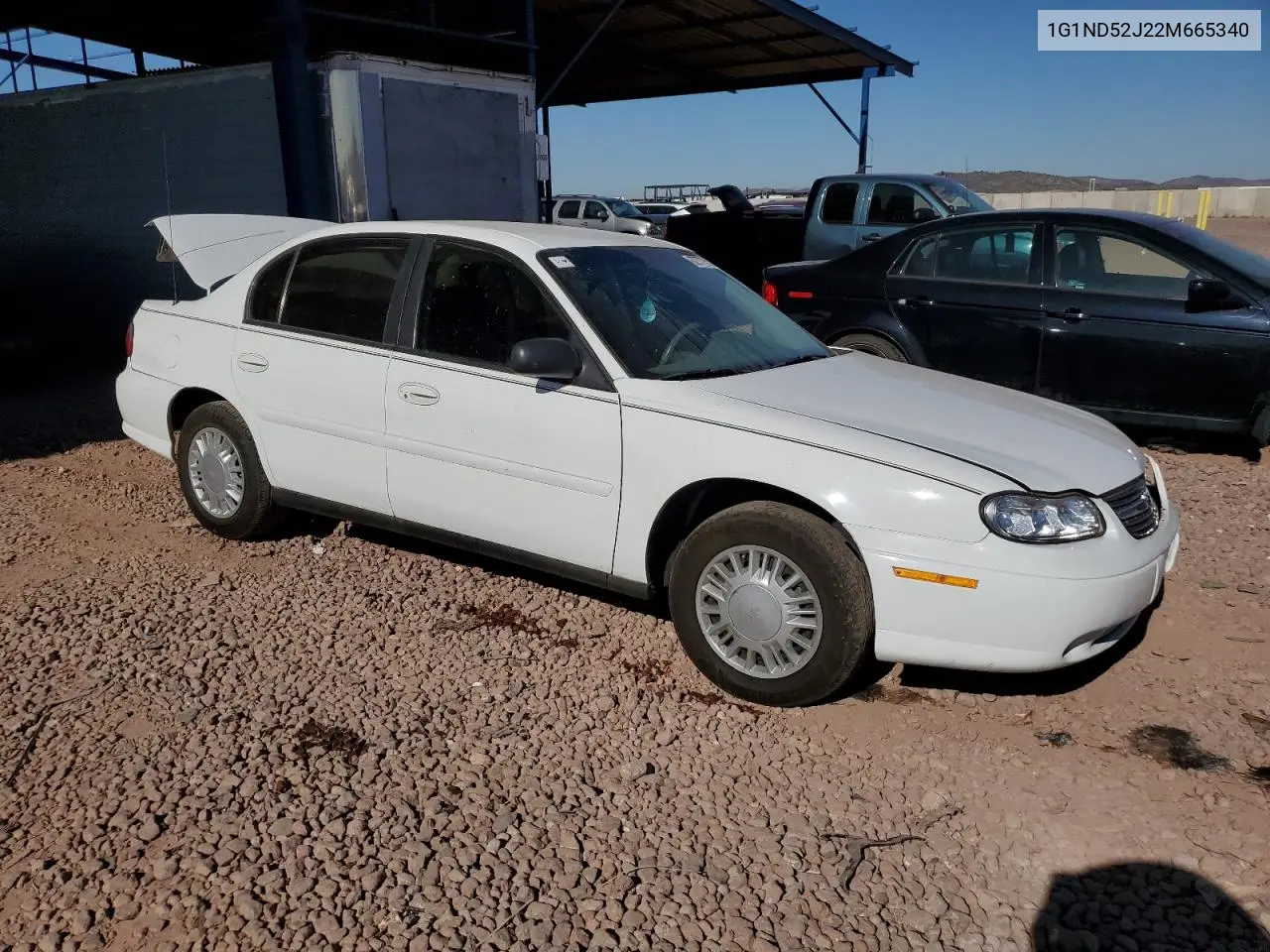 2002 Chevrolet Malibu VIN: 1G1ND52J22M665340 Lot: 62777525