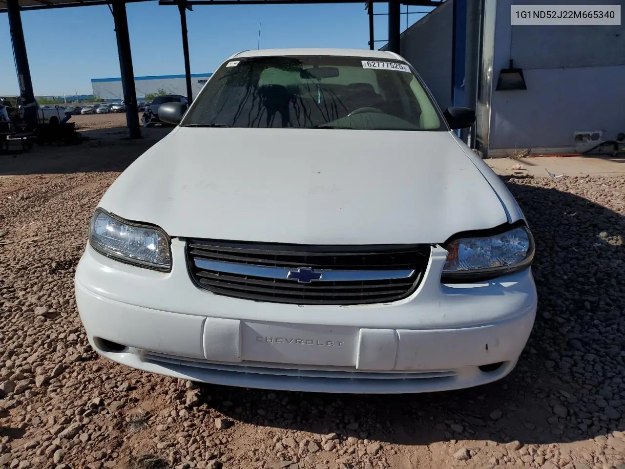 2002 Chevrolet Malibu VIN: 1G1ND52J22M665340 Lot: 62777525