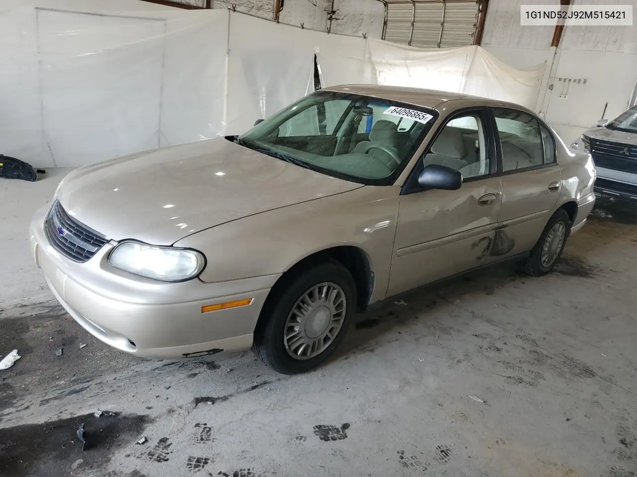 2002 Chevrolet Malibu VIN: 1G1ND52J92M515421 Lot: 64096865