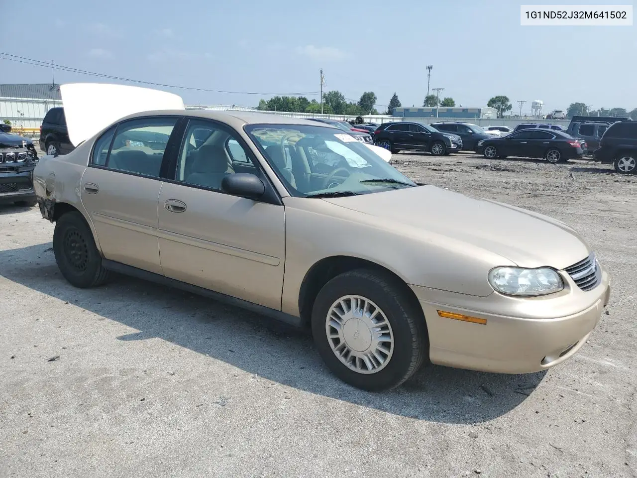 2002 Chevrolet Malibu VIN: 1G1ND52J32M641502 Lot: 64518315
