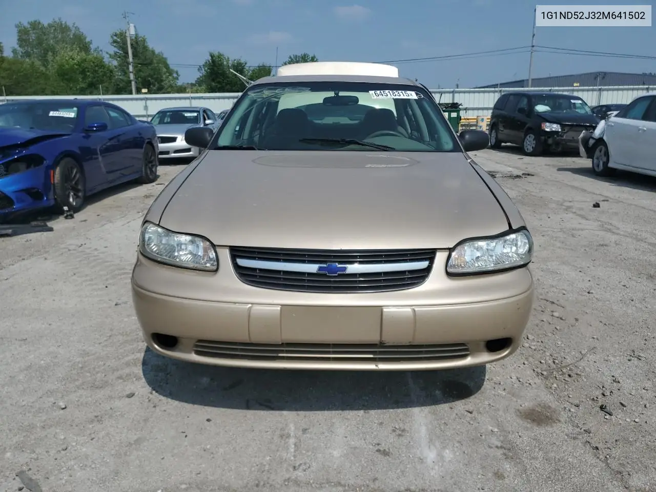 2002 Chevrolet Malibu VIN: 1G1ND52J32M641502 Lot: 64518315
