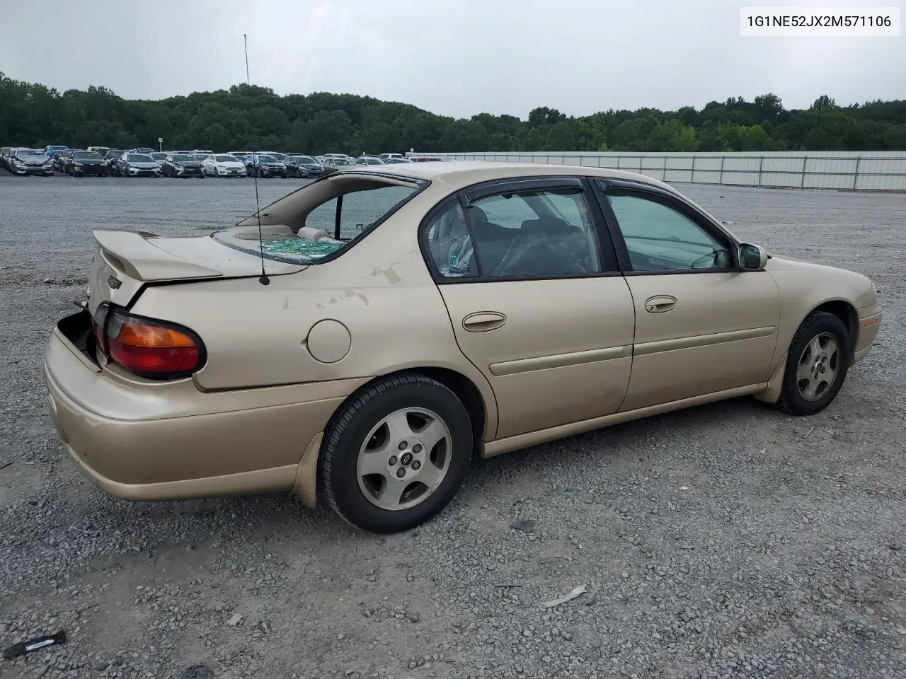 2002 Chevrolet Malibu Ls VIN: 1G1NE52JX2M571106 Lot: 64930295