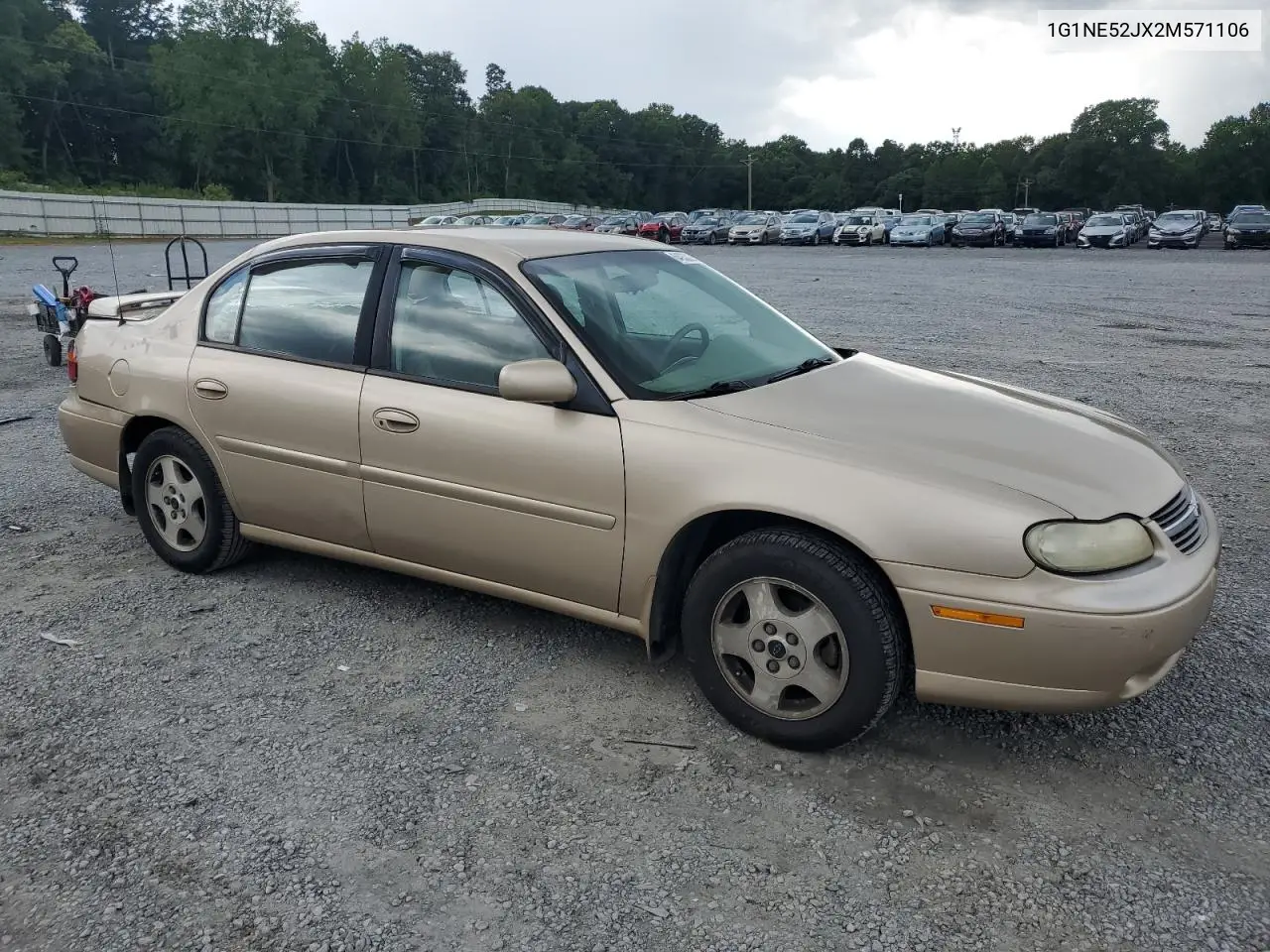 2002 Chevrolet Malibu Ls VIN: 1G1NE52JX2M571106 Lot: 64930295