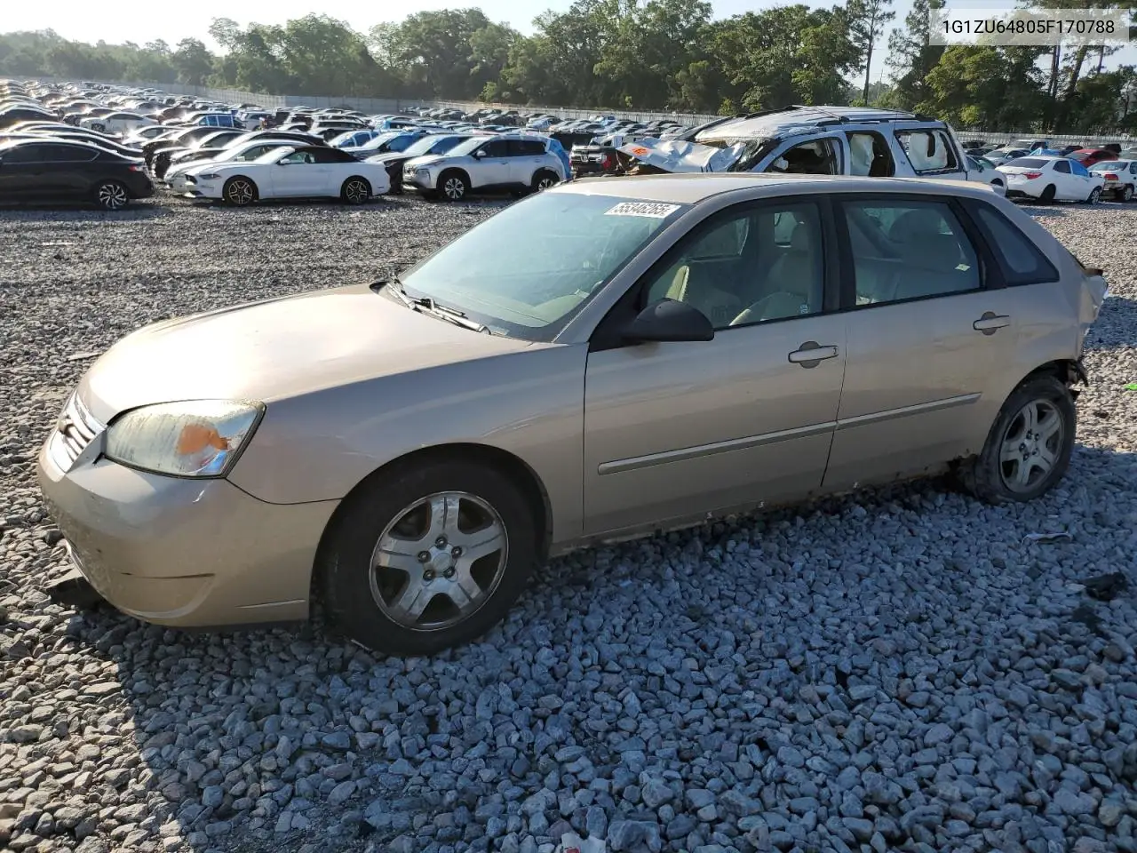 2005 Chevrolet Malibu Maxx Lt VIN: 1G1ZU64805F170788 Lot: 55346265