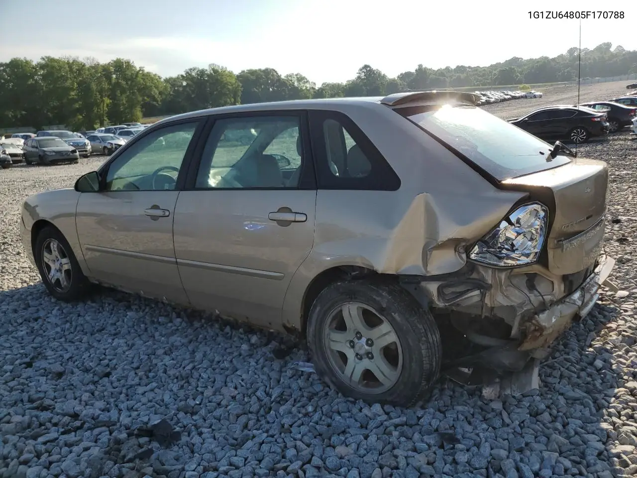 2005 Chevrolet Malibu Maxx Lt VIN: 1G1ZU64805F170788 Lot: 55346265