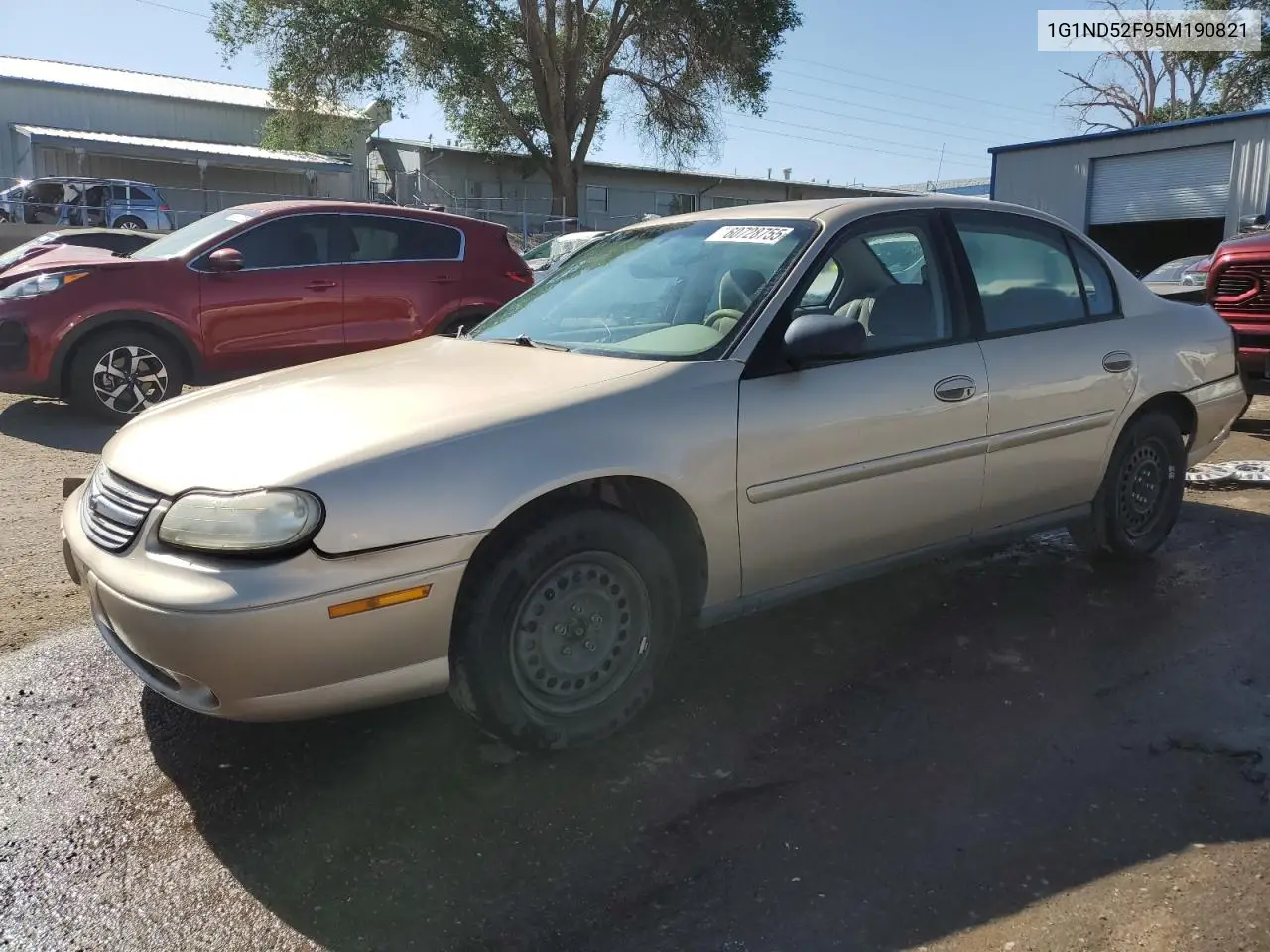 2005 Chevrolet Classic VIN: 1G1ND52F95M190821 Lot: 60728755