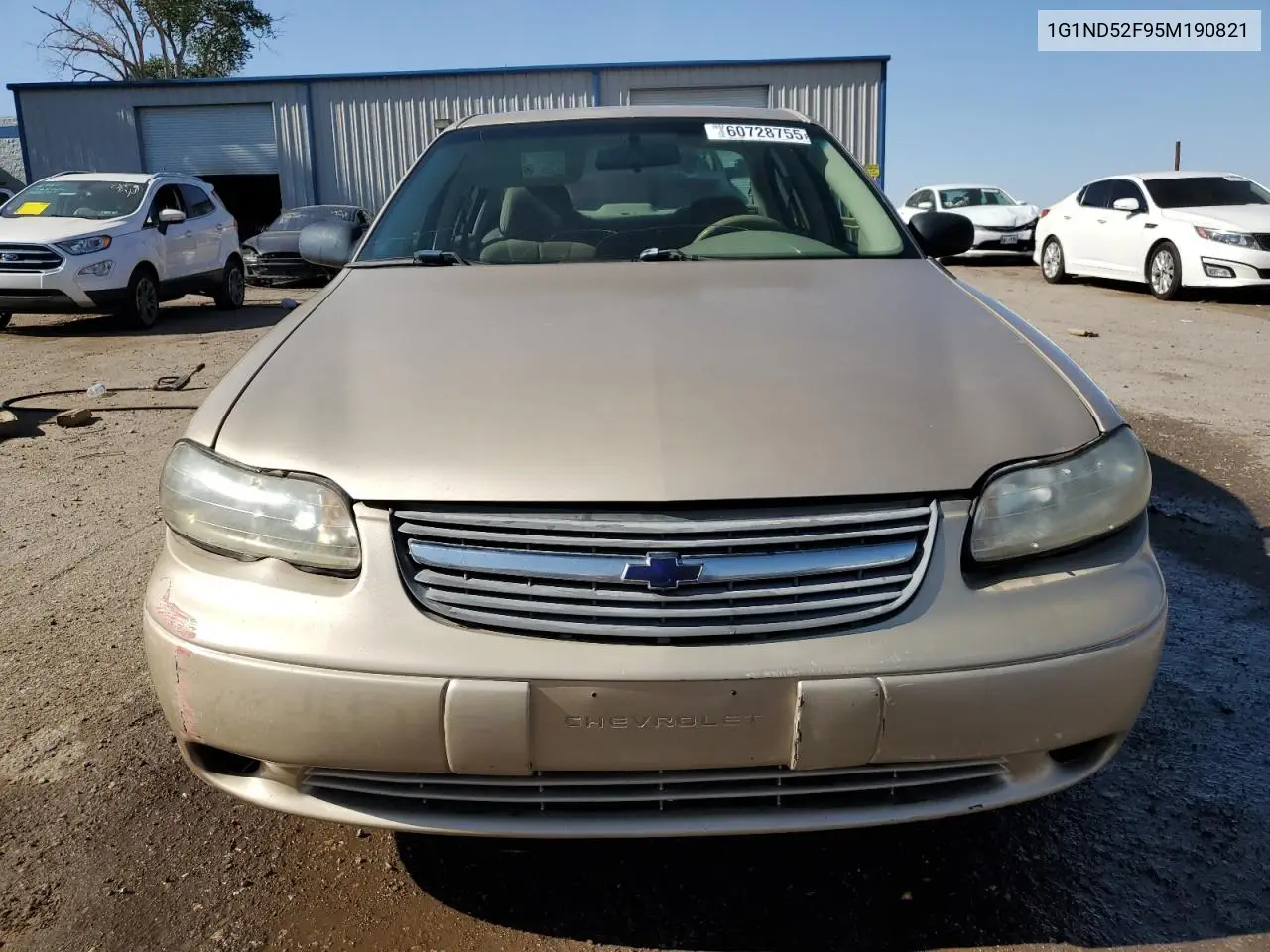 2005 Chevrolet Classic VIN: 1G1ND52F95M190821 Lot: 60728755