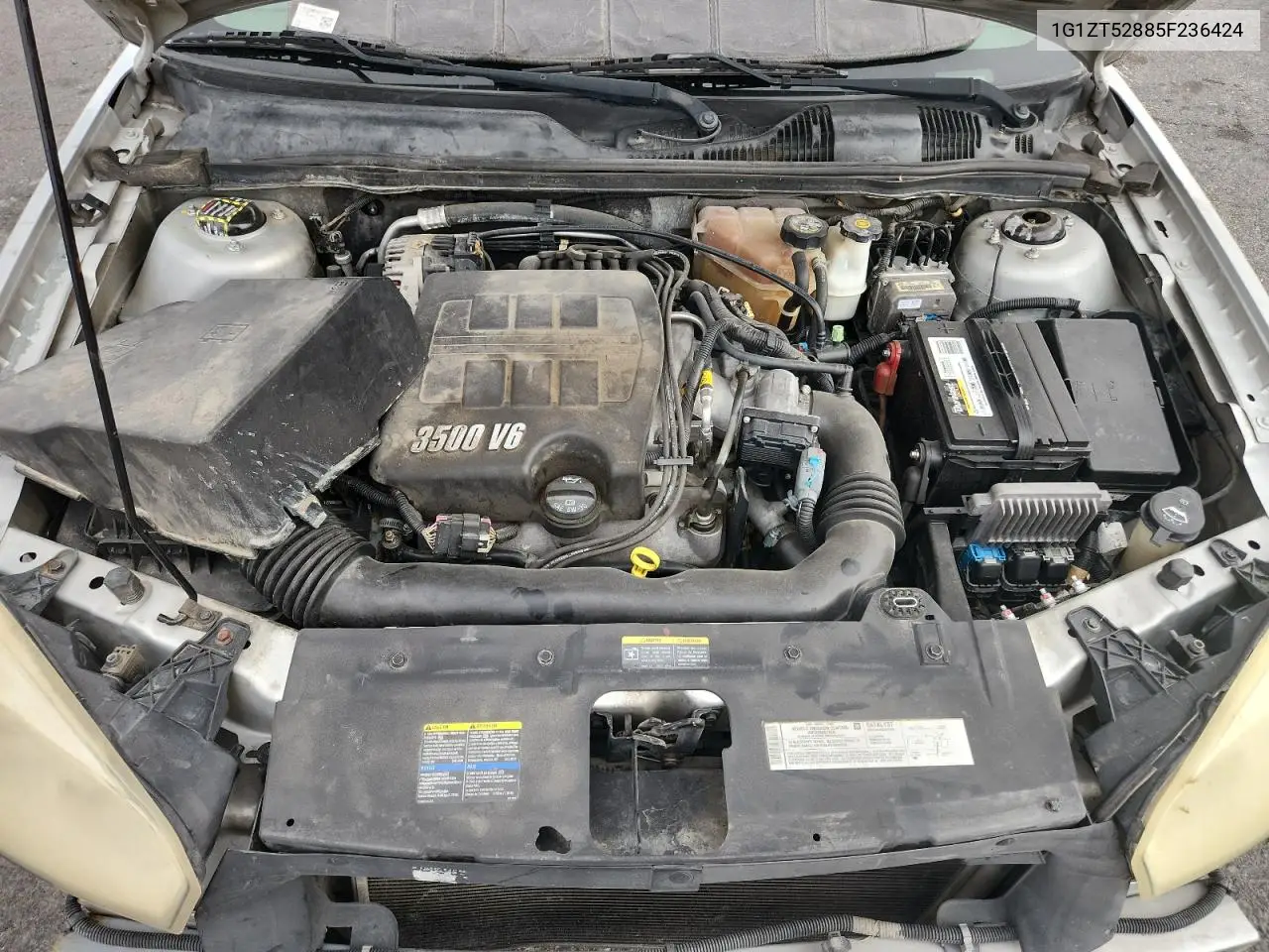 2005 Chevrolet Malibu Ls VIN: 1G1ZT52885F236424 Lot: 62512945