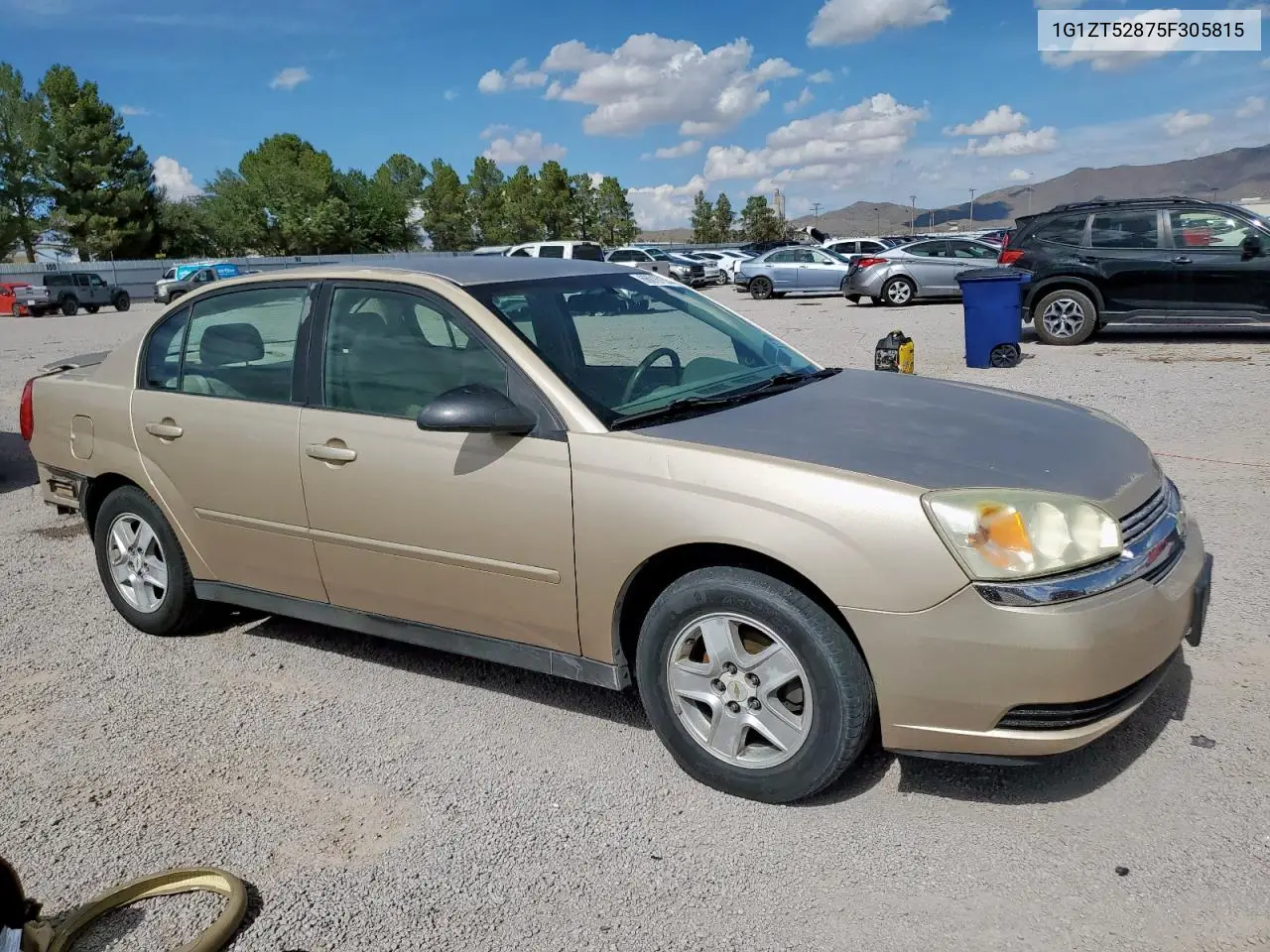2005 Chevrolet Malibu Ls VIN: 1G1ZT52875F305815 Lot: 66016155