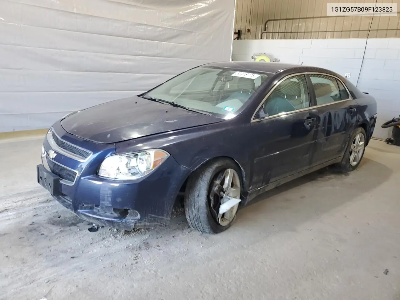 2009 Chevrolet Malibu Ls VIN: 1G1ZG57B09F123825 Lot: 62448775