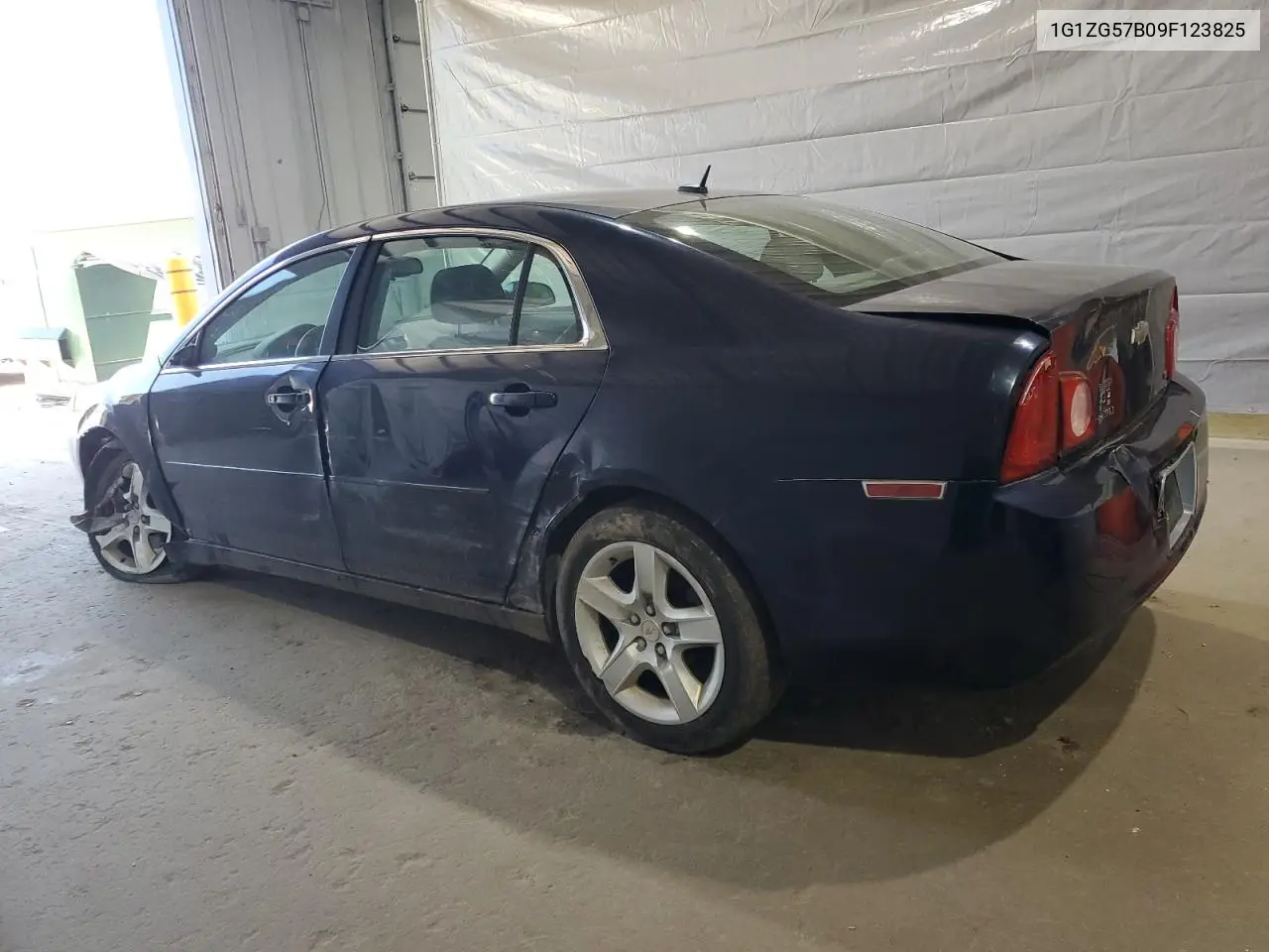 2009 Chevrolet Malibu Ls VIN: 1G1ZG57B09F123825 Lot: 62448775