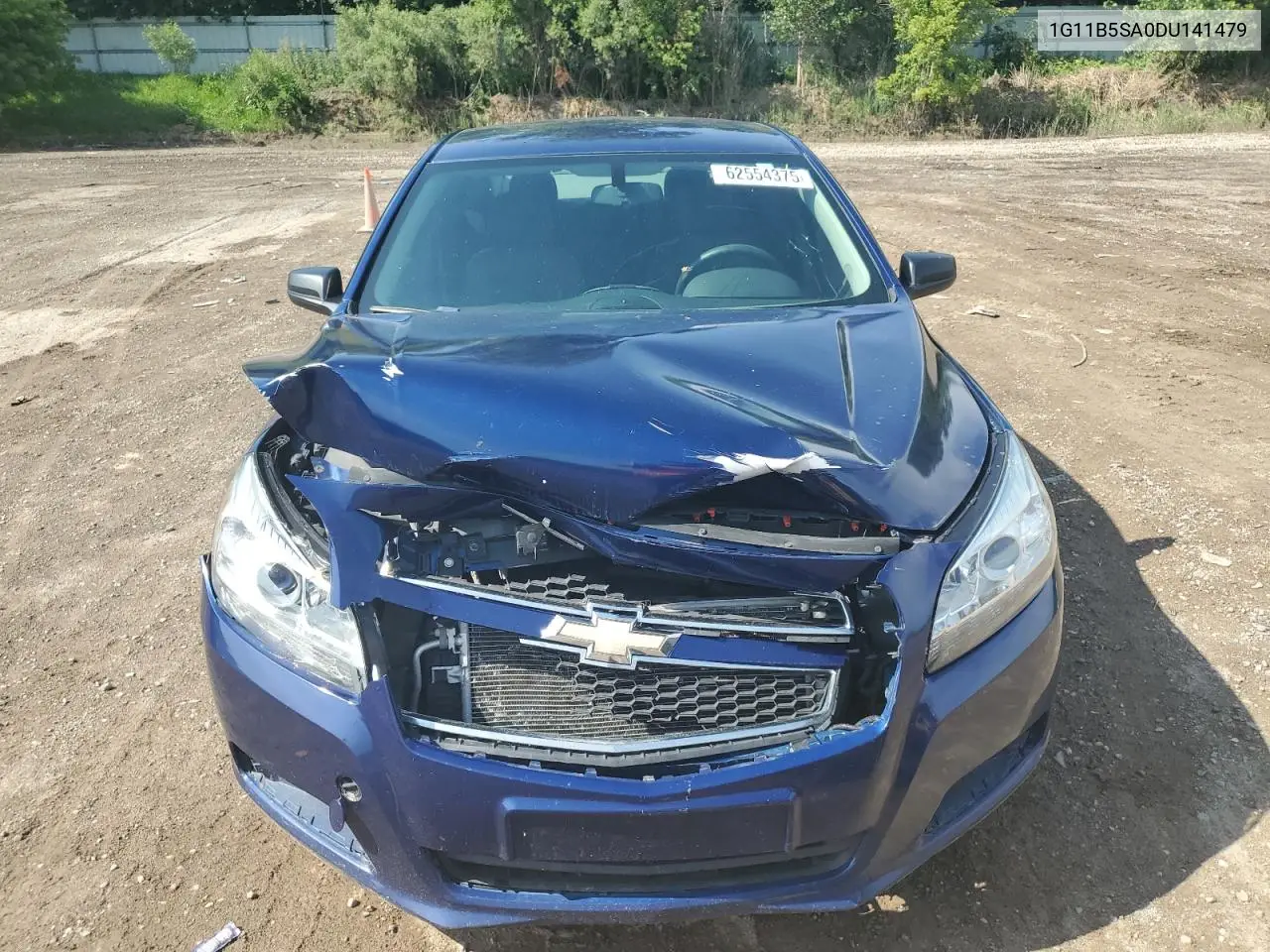 2013 Chevrolet Malibu Ls VIN: 1G11B5SA0DU141479 Lot: 62554375