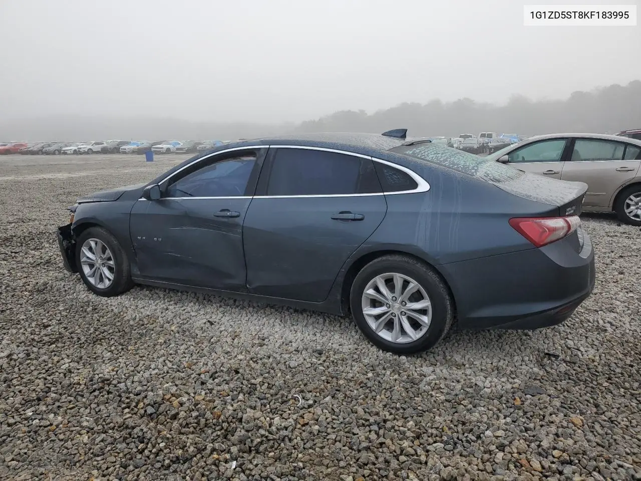 2019 Chevrolet Malibu Lt VIN: 1G1ZD5ST8KF183995 Lot: 51336135