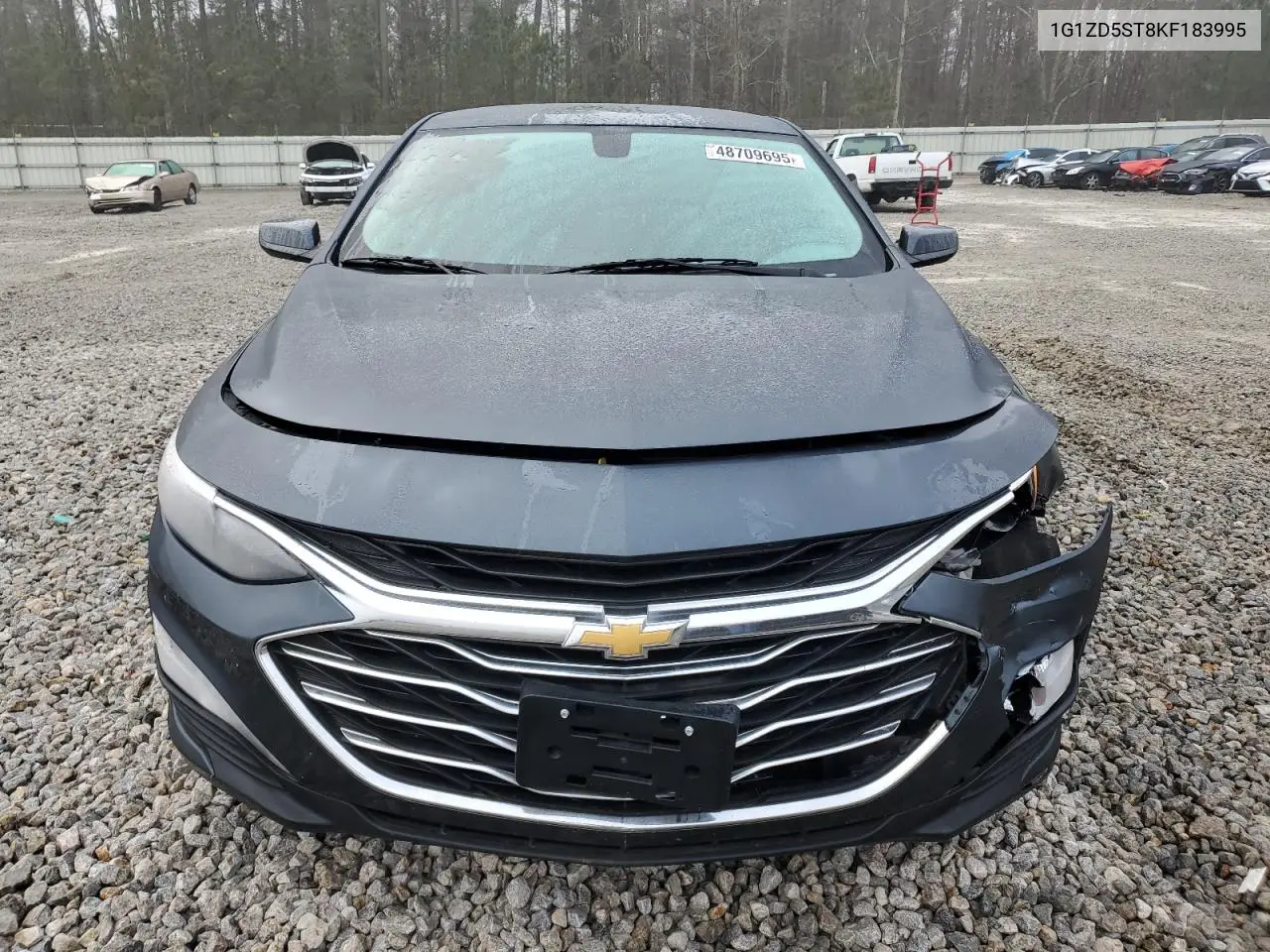 2019 Chevrolet Malibu Lt VIN: 1G1ZD5ST8KF183995 Lot: 51336135