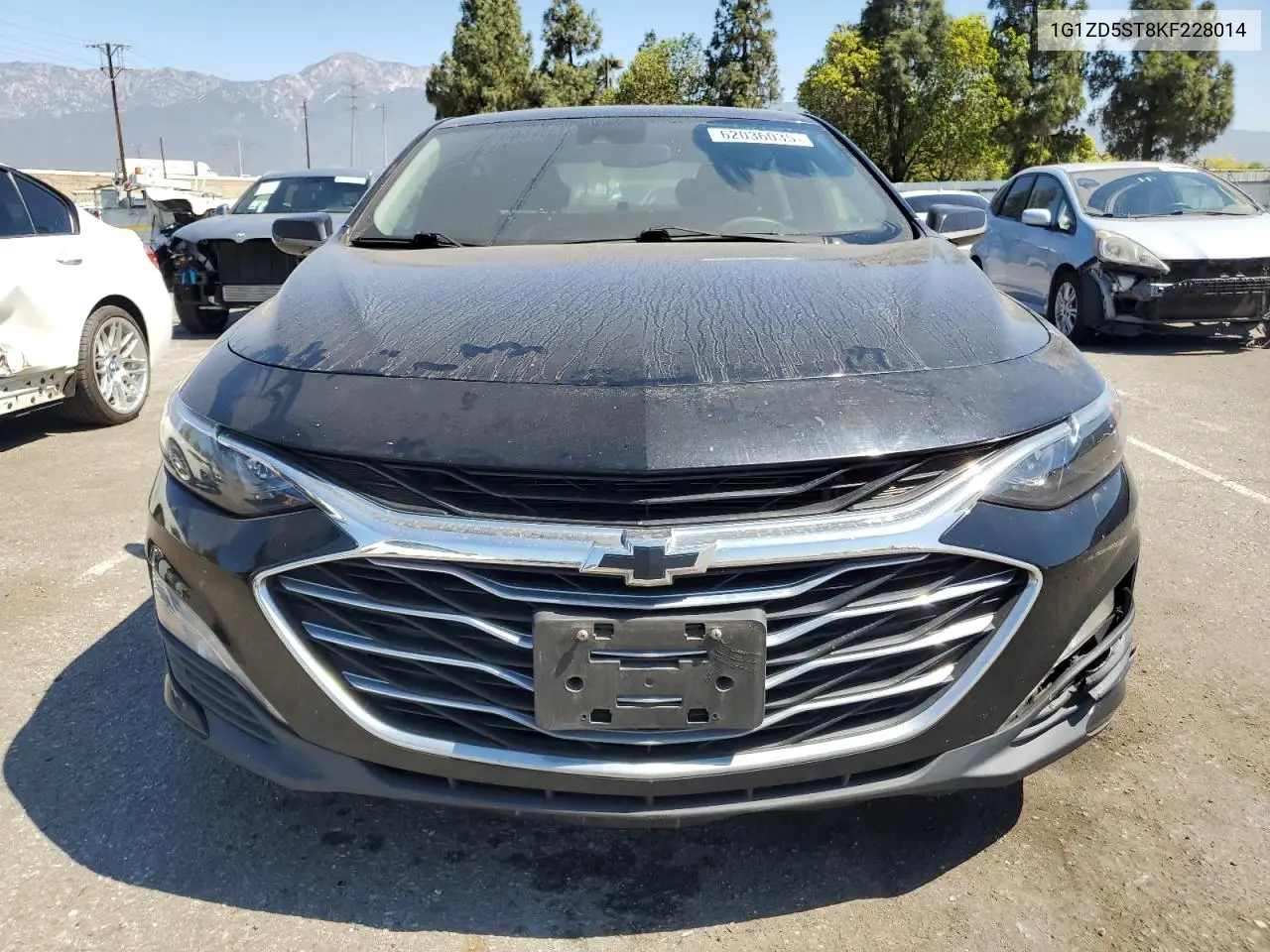 2019 Chevrolet Malibu Lt VIN: 1G1ZD5ST8KF228014 Lot: 62036035