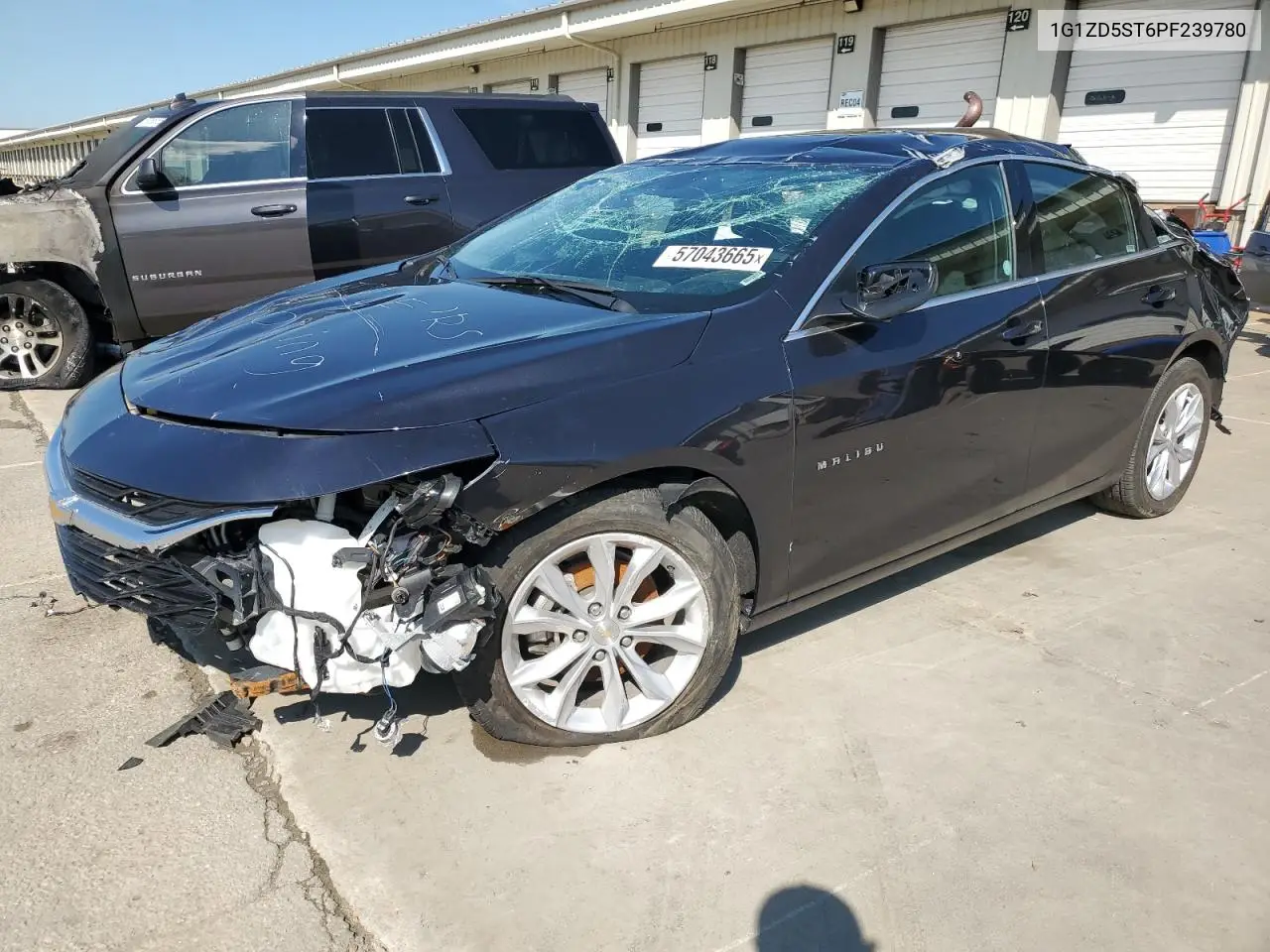 2023 Chevrolet Malibu Lt VIN: 1G1ZD5ST6PF239780 Lot: 57043665