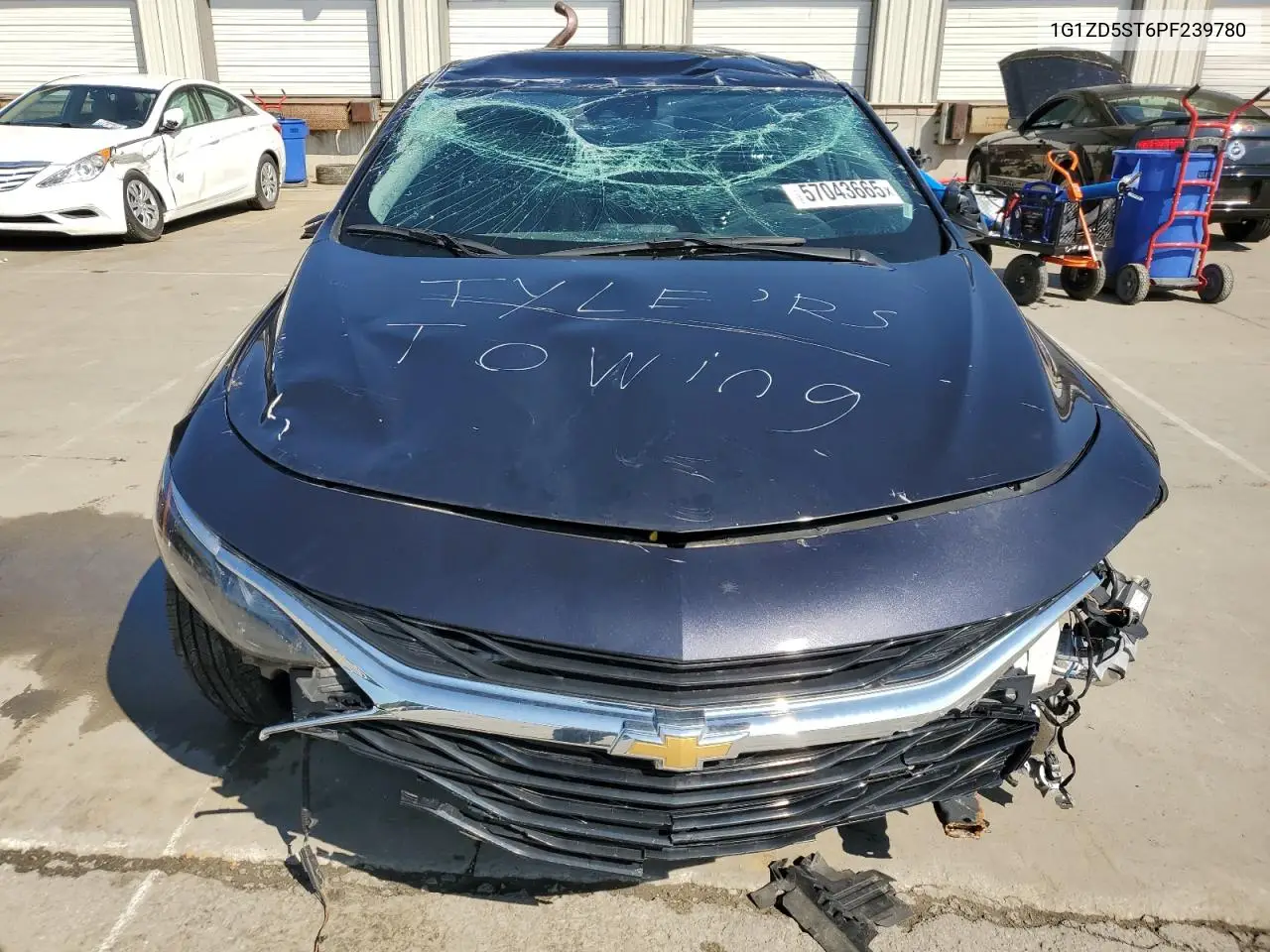 2023 Chevrolet Malibu Lt VIN: 1G1ZD5ST6PF239780 Lot: 57043665