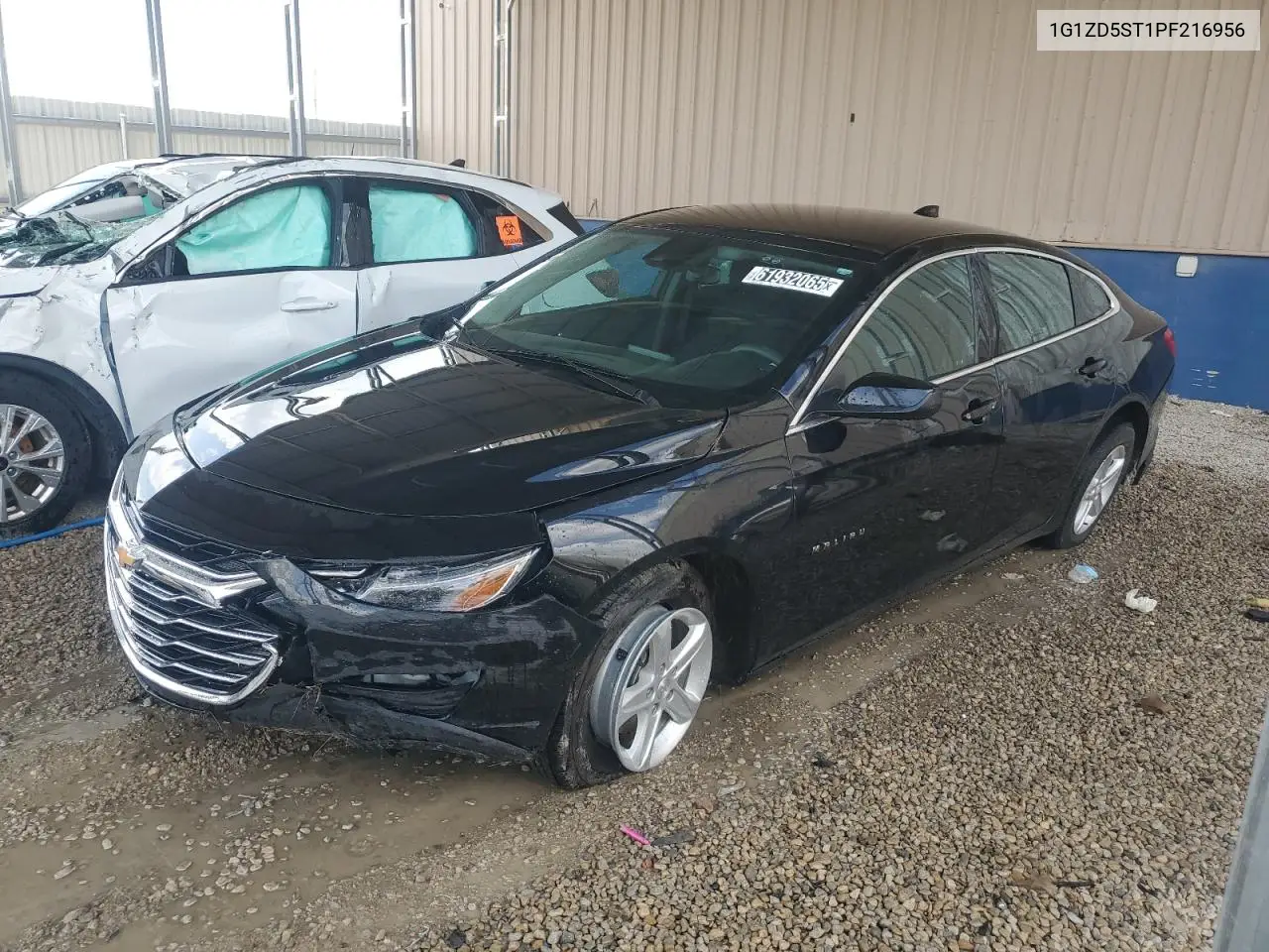 2023 Chevrolet Malibu Lt VIN: 1G1ZD5ST1PF216956 Lot: 61932065