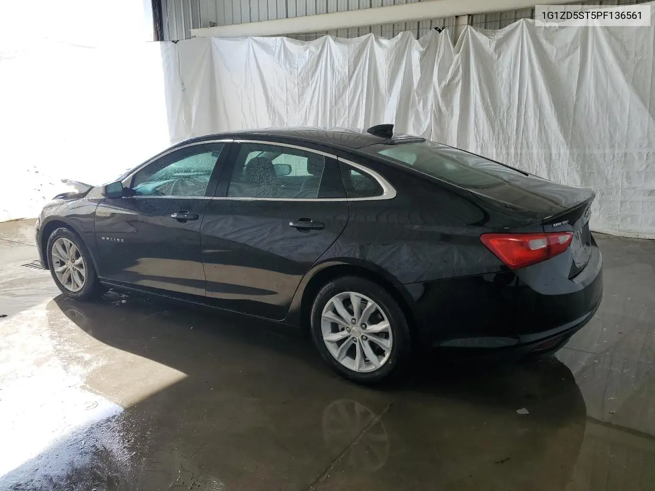 2023 Chevrolet Malibu Lt VIN: 1G1ZD5ST5PF136561 Lot: 62032355