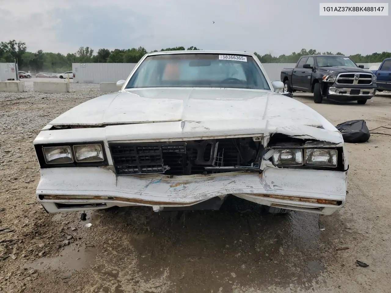 1981 Chevrolet Monte Carlo VIN: 1G1AZ37K8BK488147 Lot: 58366365