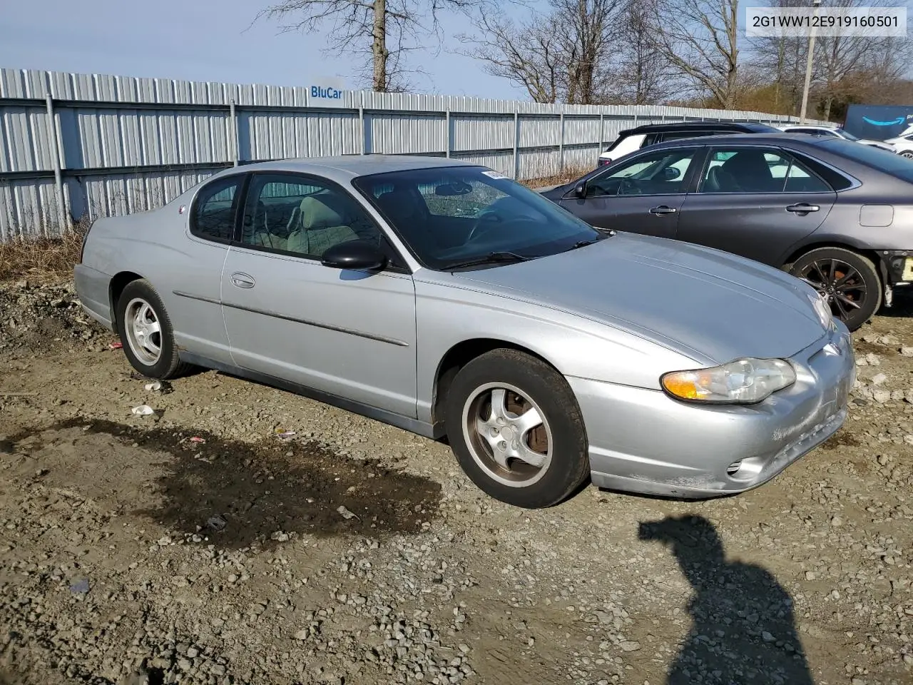 2001 Chevrolet Monte Carlo Ls VIN: 2G1WW12E919160501 Lot: 48454775