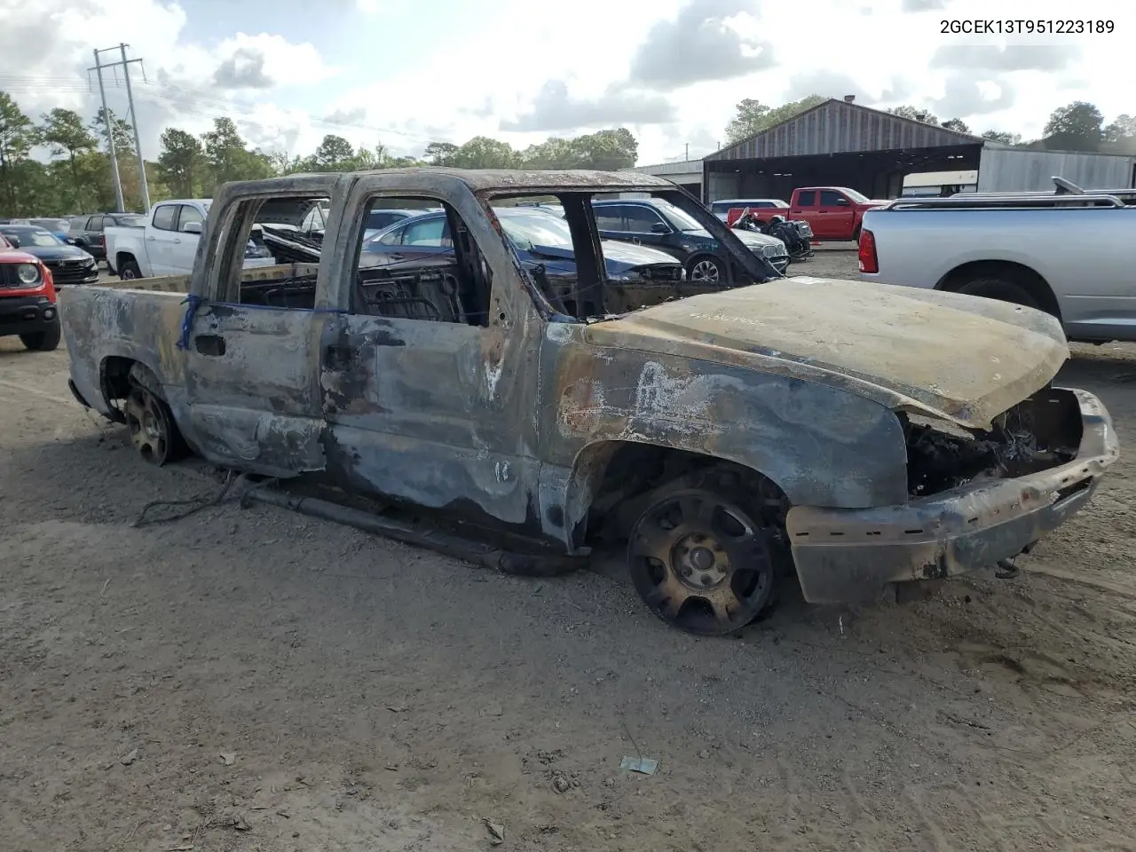 2005 Chevrolet Silverado K1500 VIN: 2GCEK13T951223189 Lot: 59387885