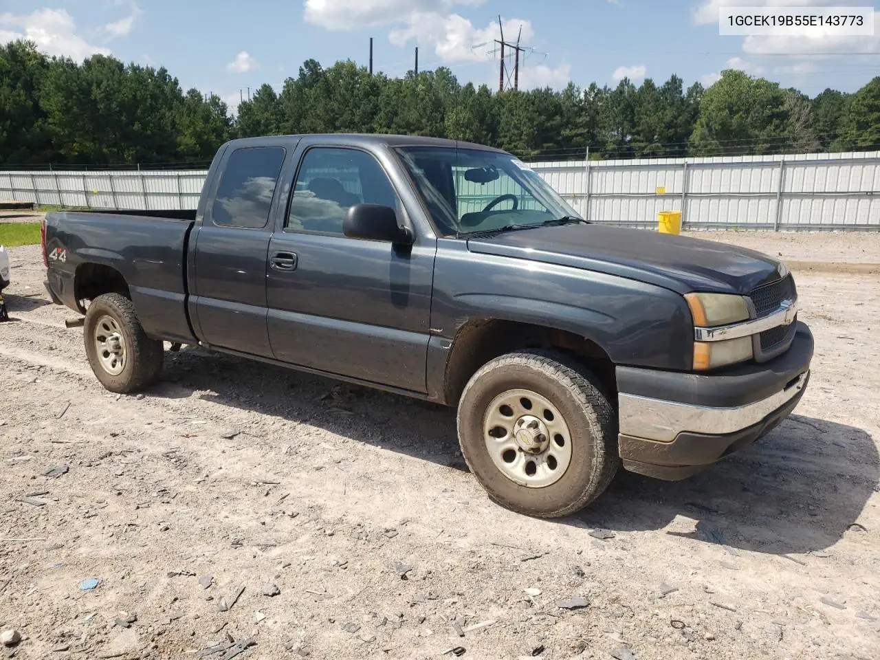 2005 Chevrolet Silverado K1500 VIN: 1GCEK19B55E143773 Lot: 65875135