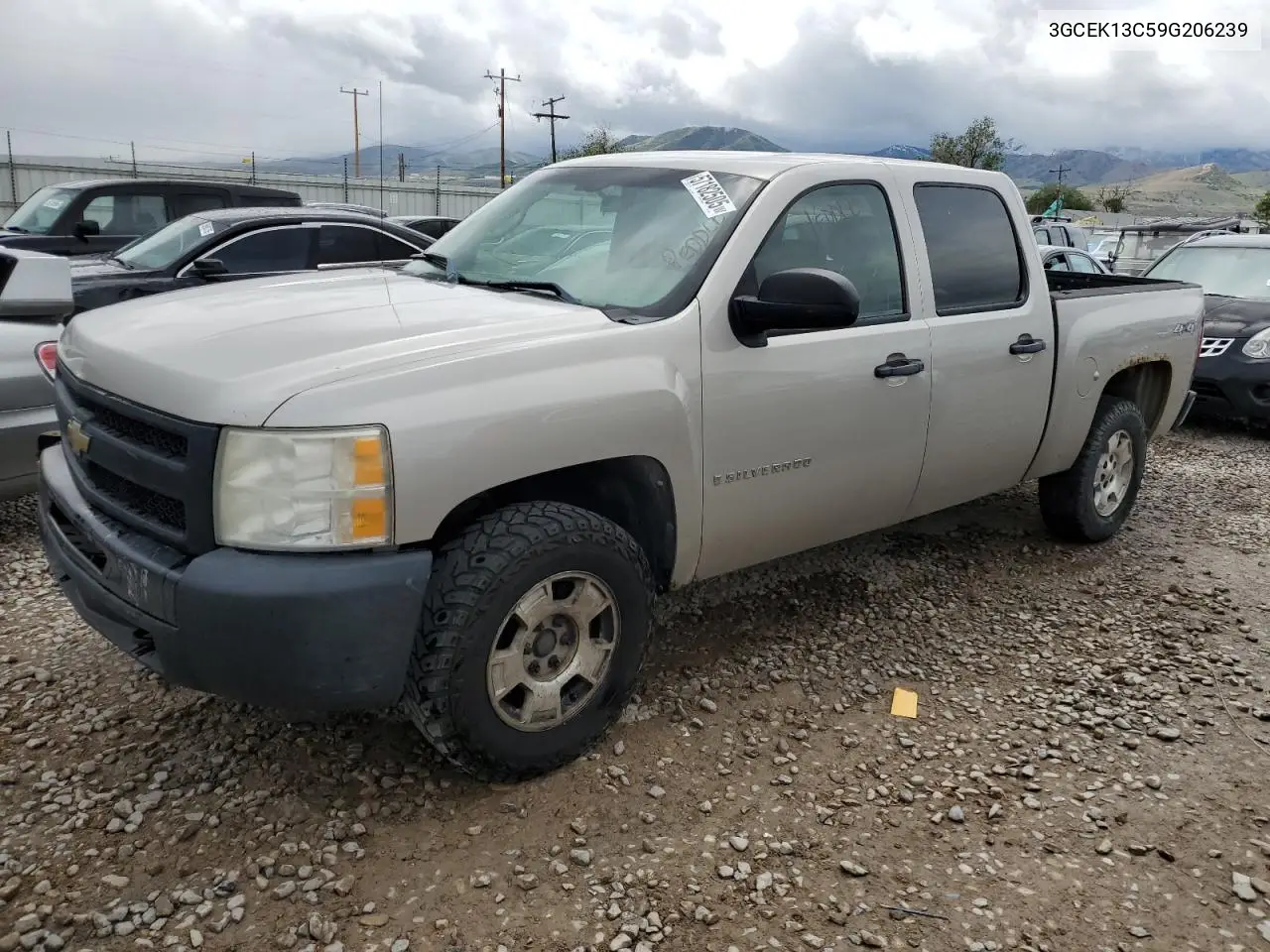 2009 Chevrolet Silverado K1500 VIN: 3GCEK13C59G206239 Lot: 57182505