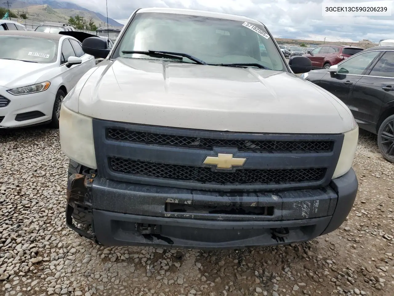 2009 Chevrolet Silverado K1500 VIN: 3GCEK13C59G206239 Lot: 57182505
