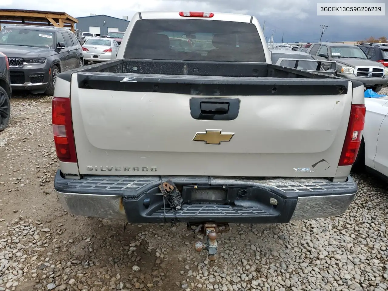 2009 Chevrolet Silverado K1500 VIN: 3GCEK13C59G206239 Lot: 57182505