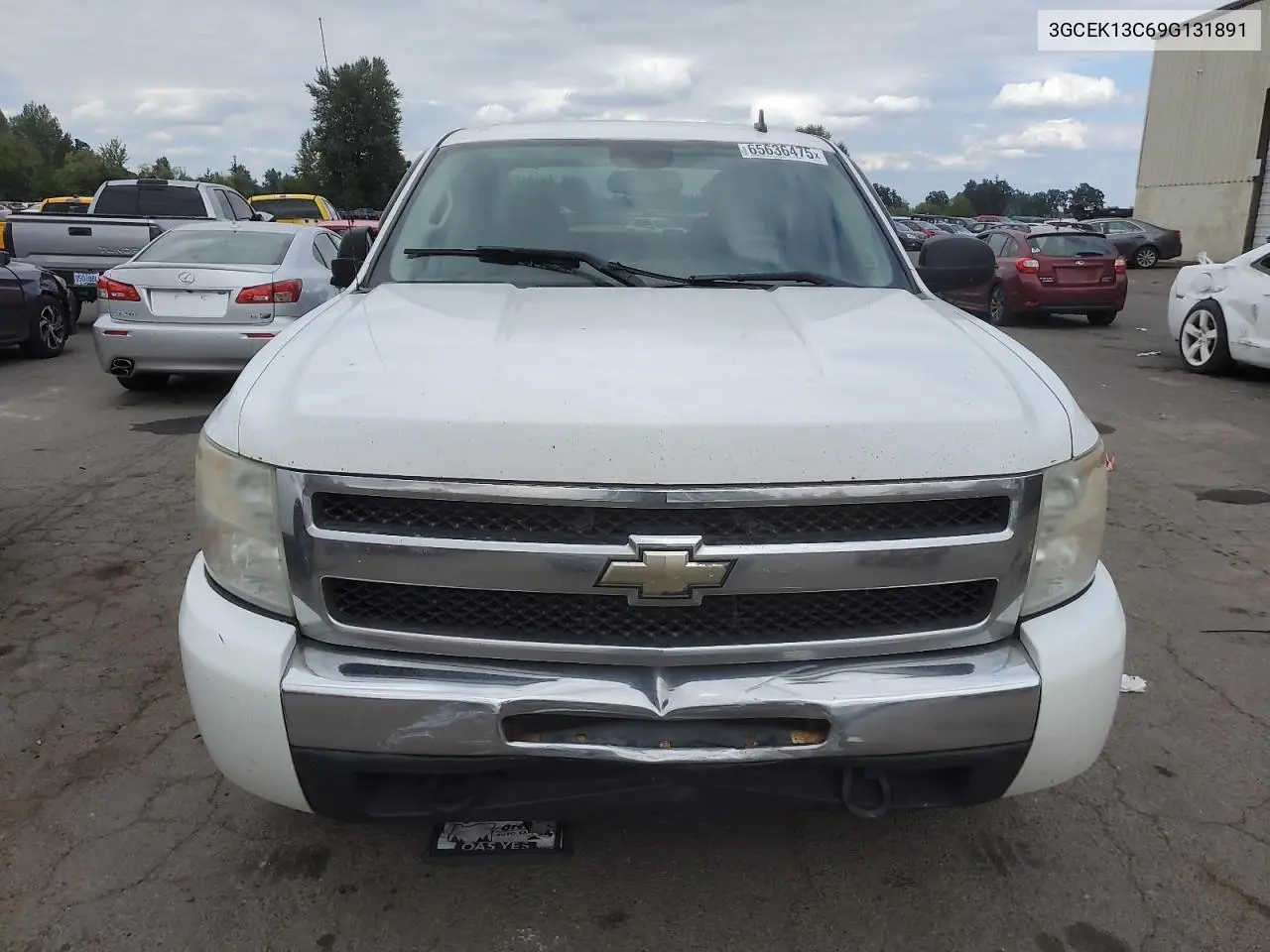 2009 Chevrolet Silverado K1500 VIN: 3GCEK13C69G131891 Lot: 65636475