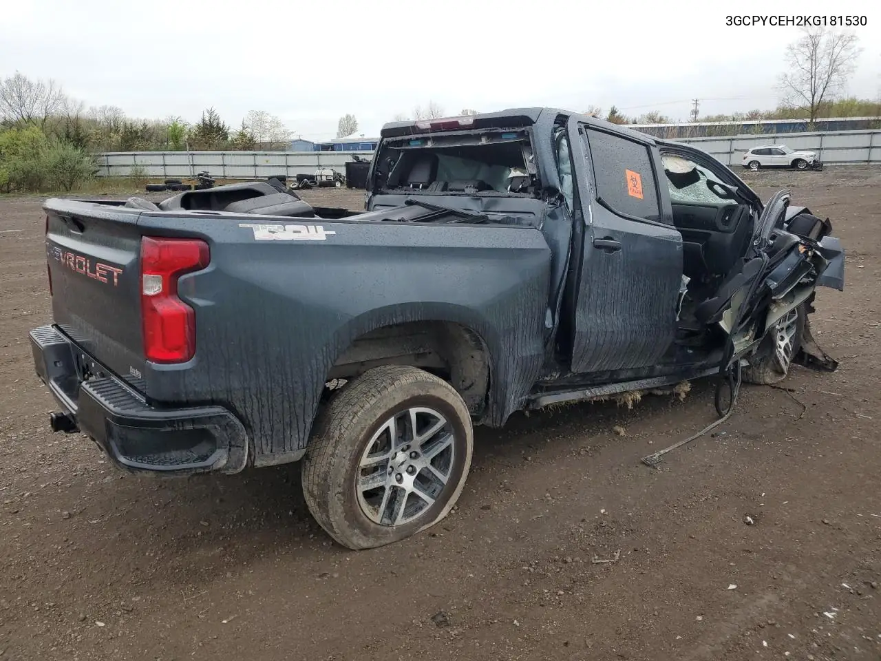 2019 Chevrolet Silverado K1500 Trail Boss Custom VIN: 3GCPYCEH2KG181530 Lot: 54564225