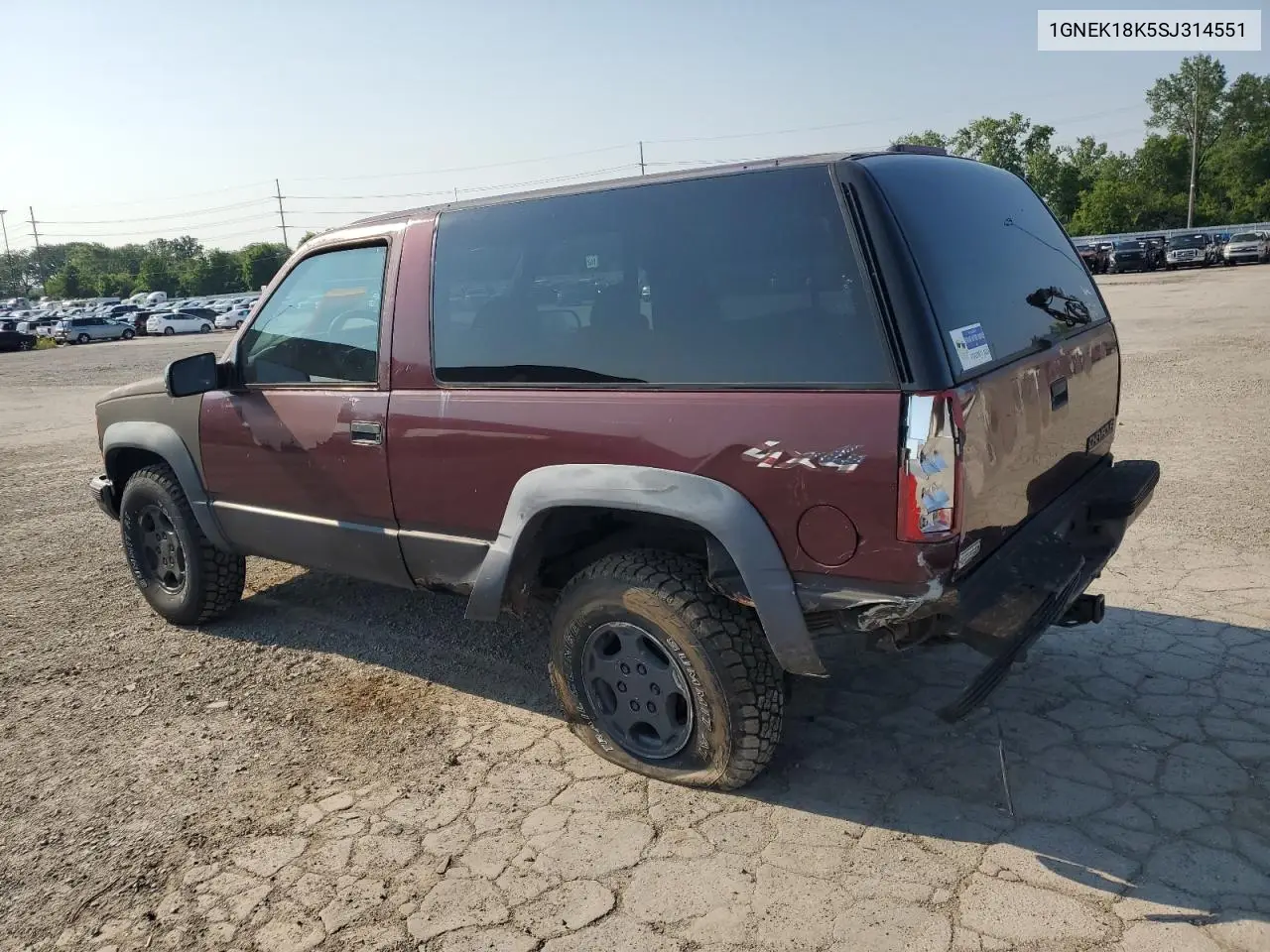 1995 Chevrolet Tahoe K1500 VIN: 1GNEK18K5SJ314551 Lot: 60225025