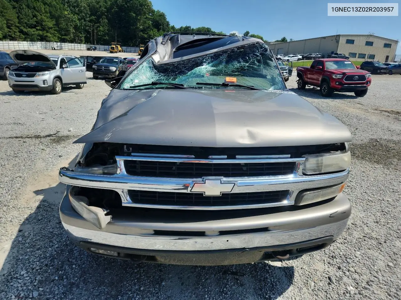 2002 Chevrolet Tahoe C1500 VIN: 1GNEC13Z02R203957 Lot: 62884295