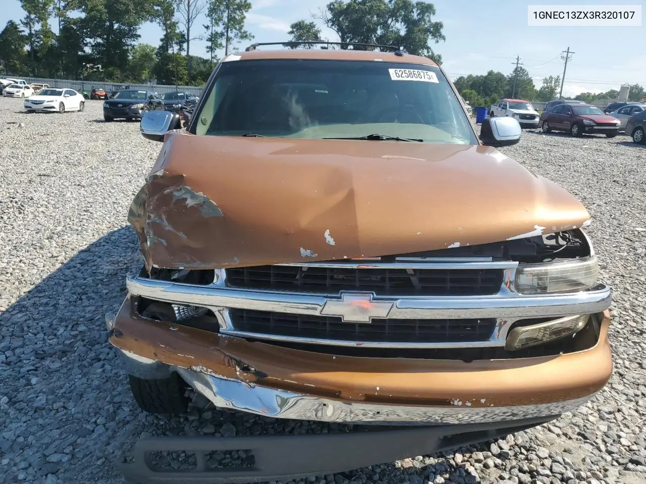2003 Chevrolet Tahoe C1500 VIN: 1GNEC13ZX3R320107 Lot: 62586875