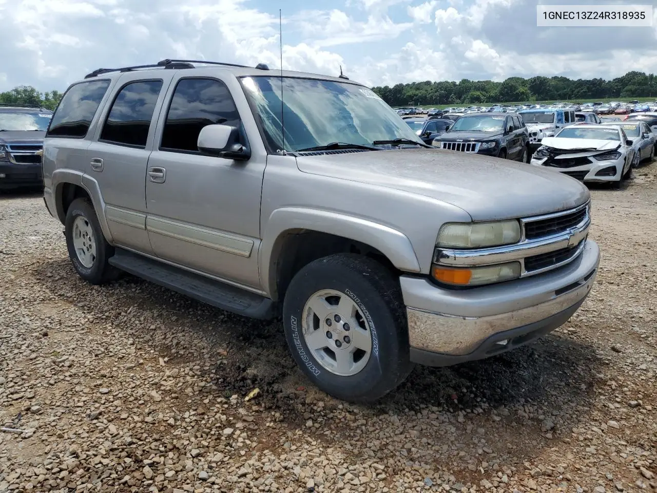 2004 Chevrolet Tahoe C1500 VIN: 1GNEC13Z24R318935 Lot: 62464035