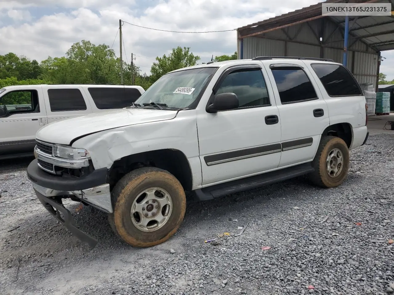 2005 Chevrolet Tahoe K1500 VIN: 1GNEK13T65J231375 Lot: 54499395
