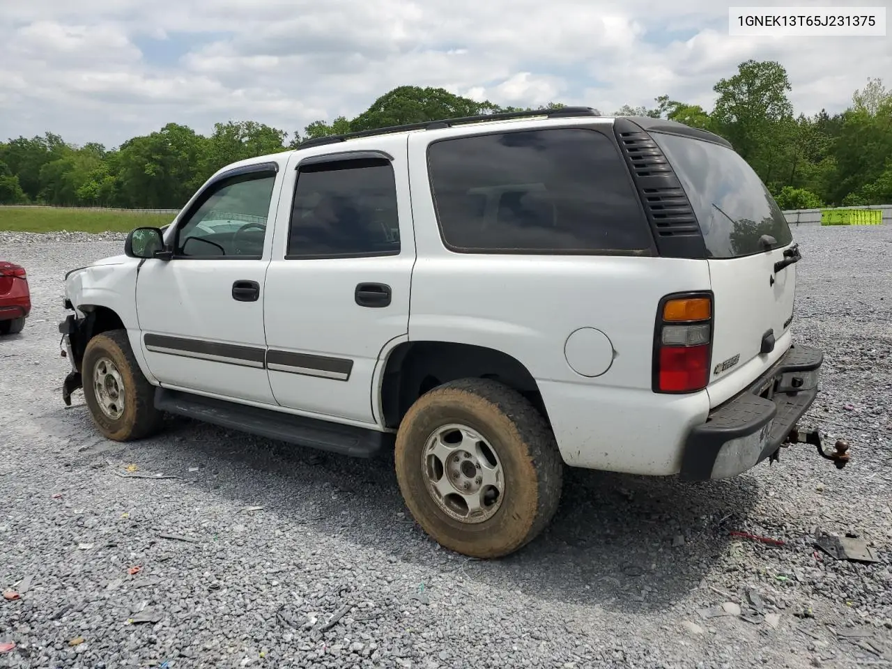 2005 Chevrolet Tahoe K1500 VIN: 1GNEK13T65J231375 Lot: 54499395