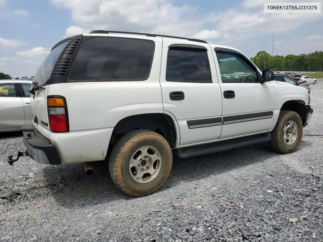 2005 Chevrolet Tahoe K1500 VIN: 1GNEK13T65J231375 Lot: 54499395