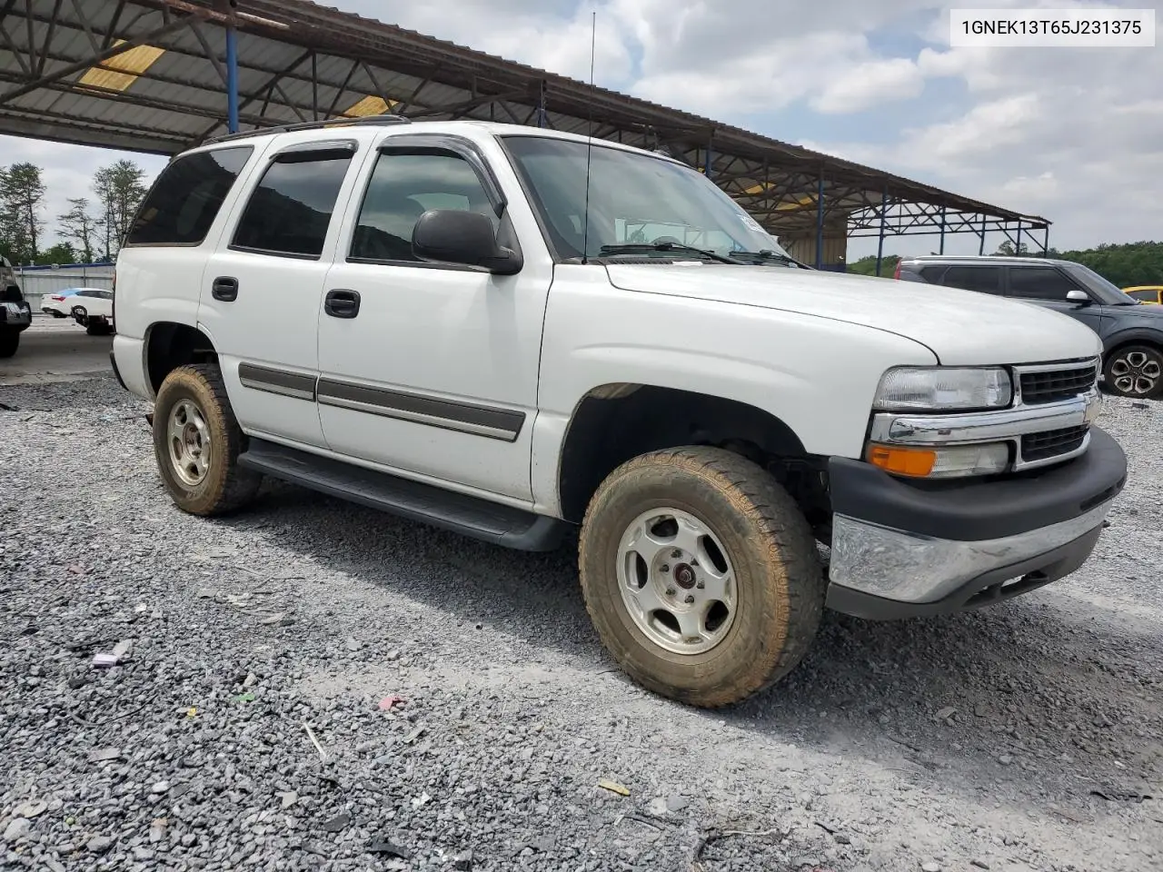2005 Chevrolet Tahoe K1500 VIN: 1GNEK13T65J231375 Lot: 54499395